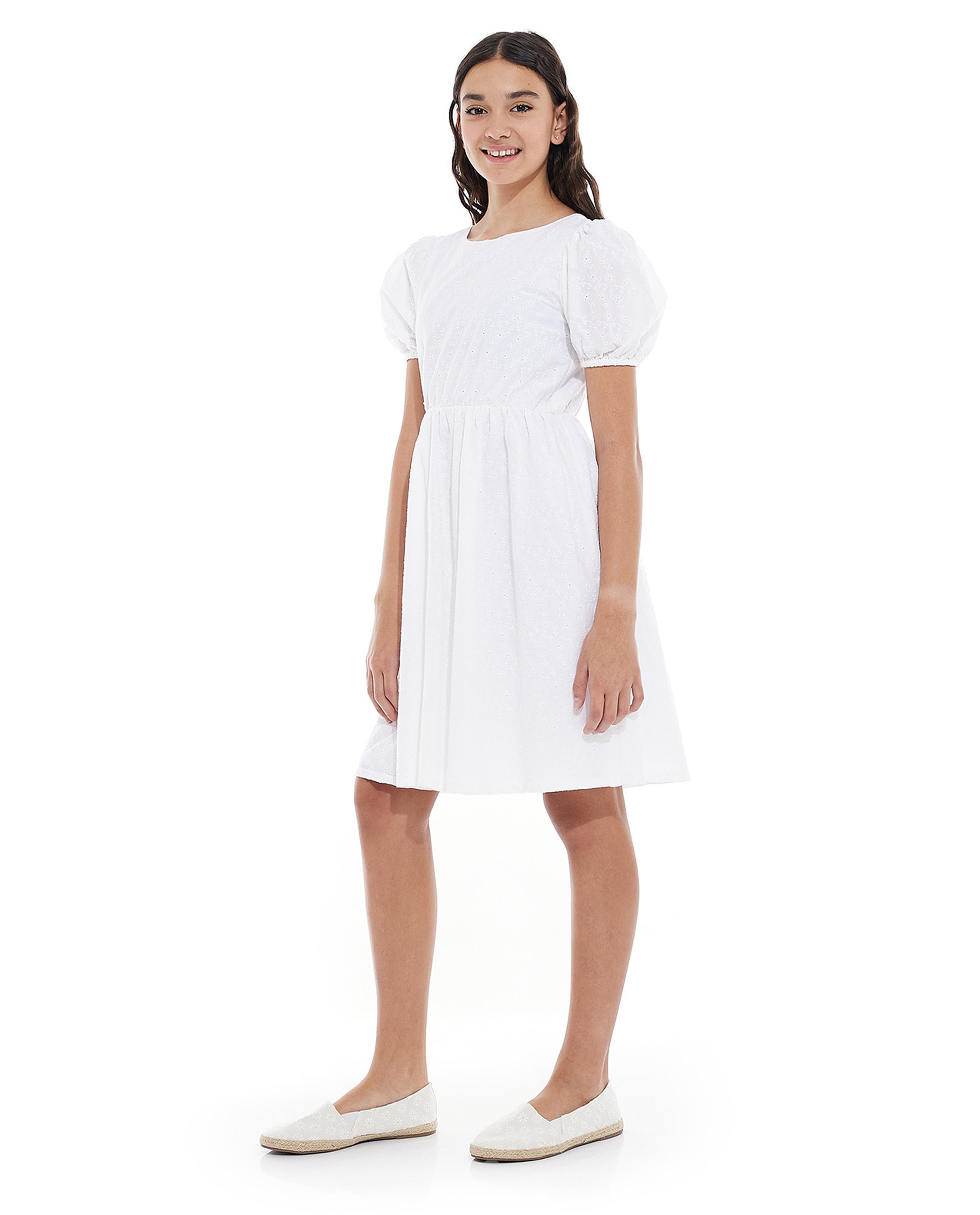 Schiffli Fit and Flare Dress with Crew Neck and Puff Sleeves