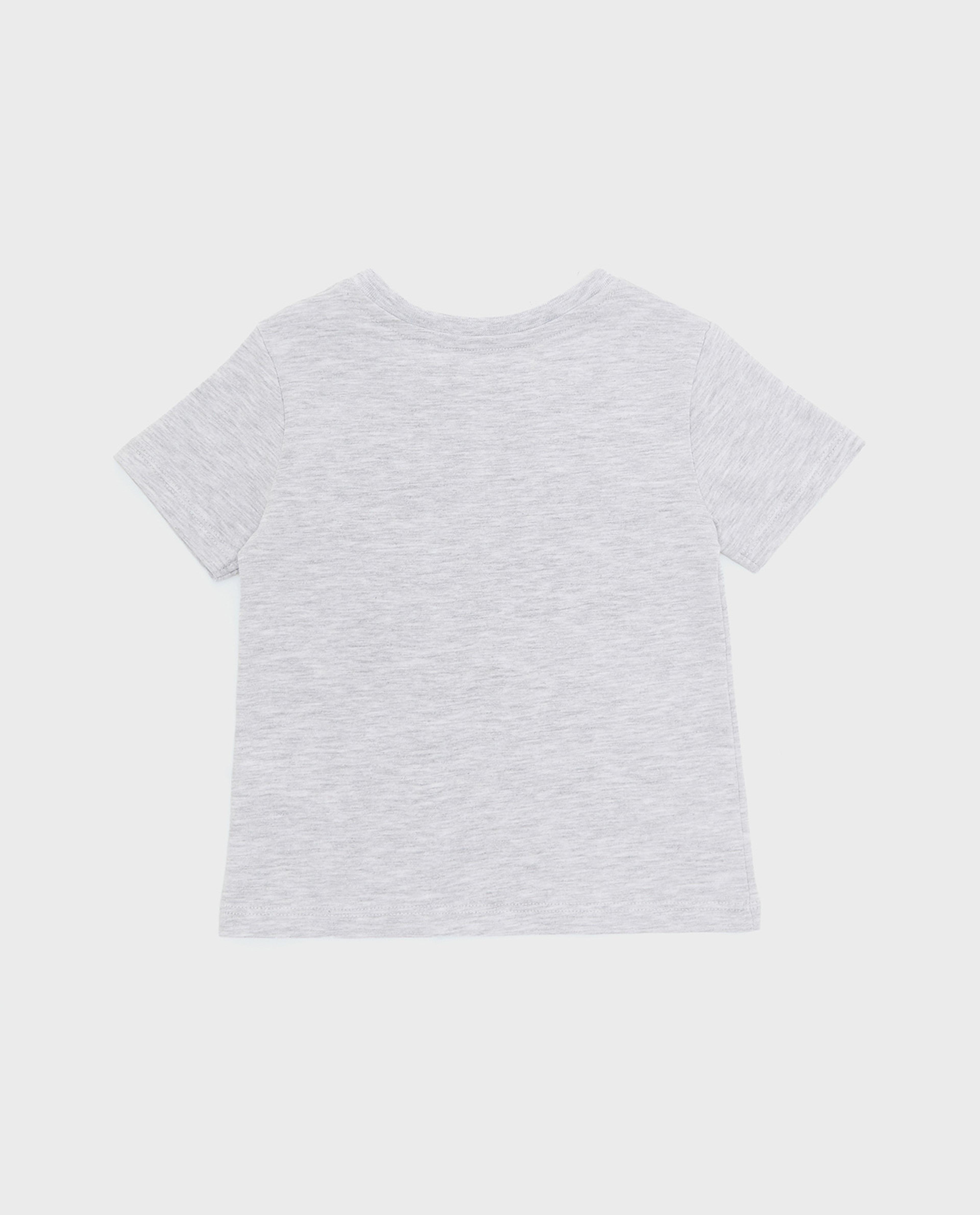 Graphic Print T-Shirt with Crew Neck and Short Sleeves