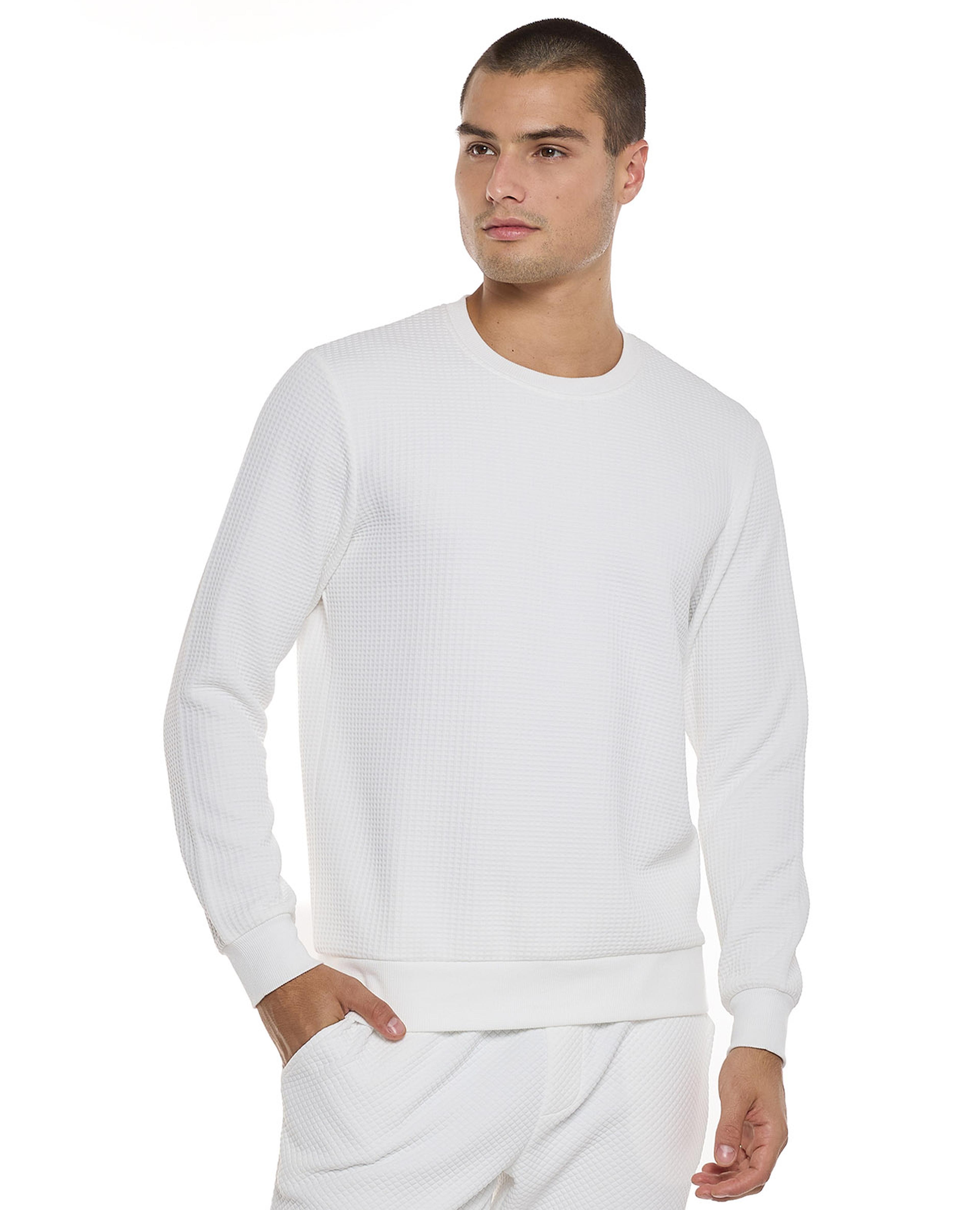 Textured Sweatshirt with Crew Neck and Long Sleeves
