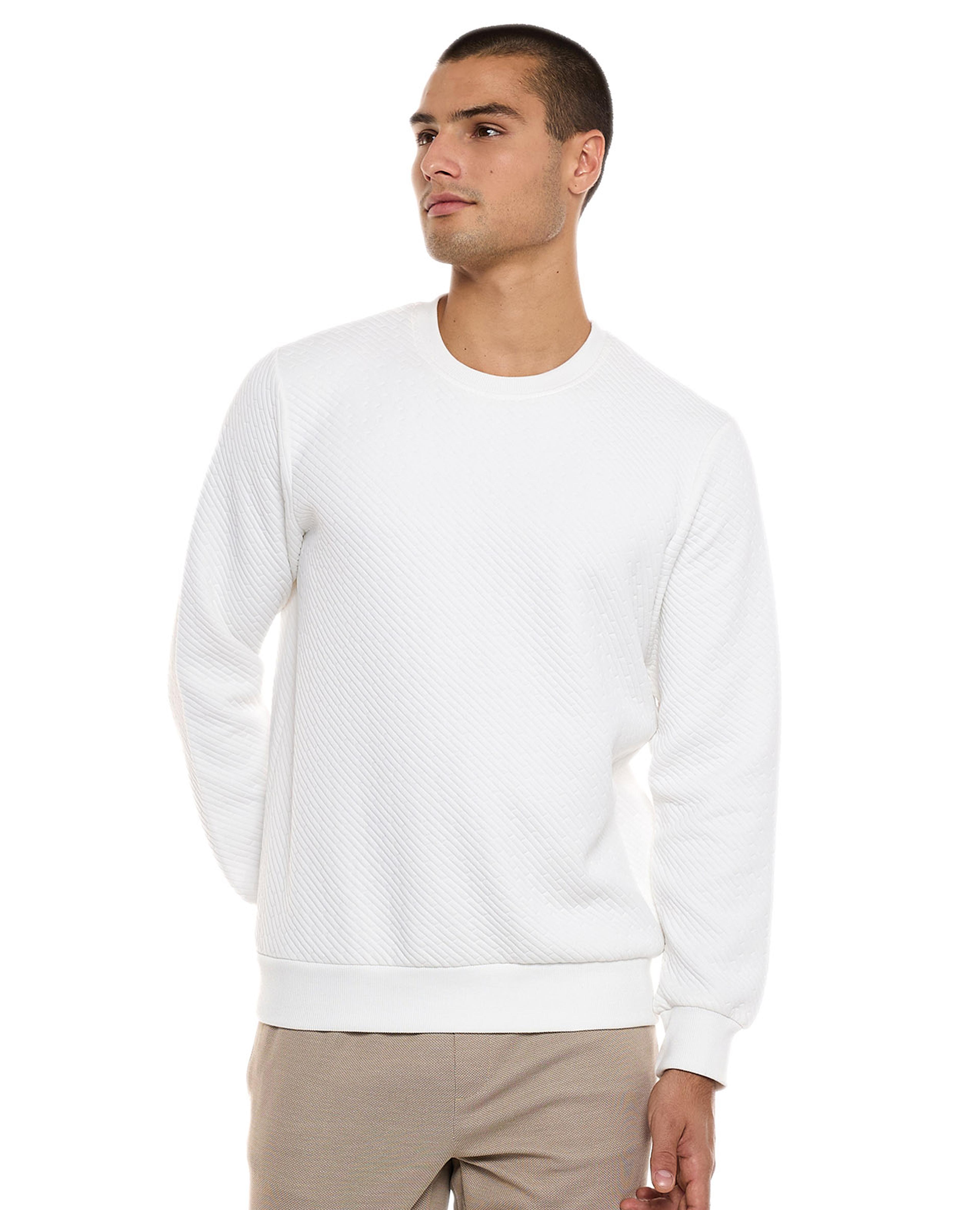 Textured Sweatshirt with Crew Neck and Long Sleeves