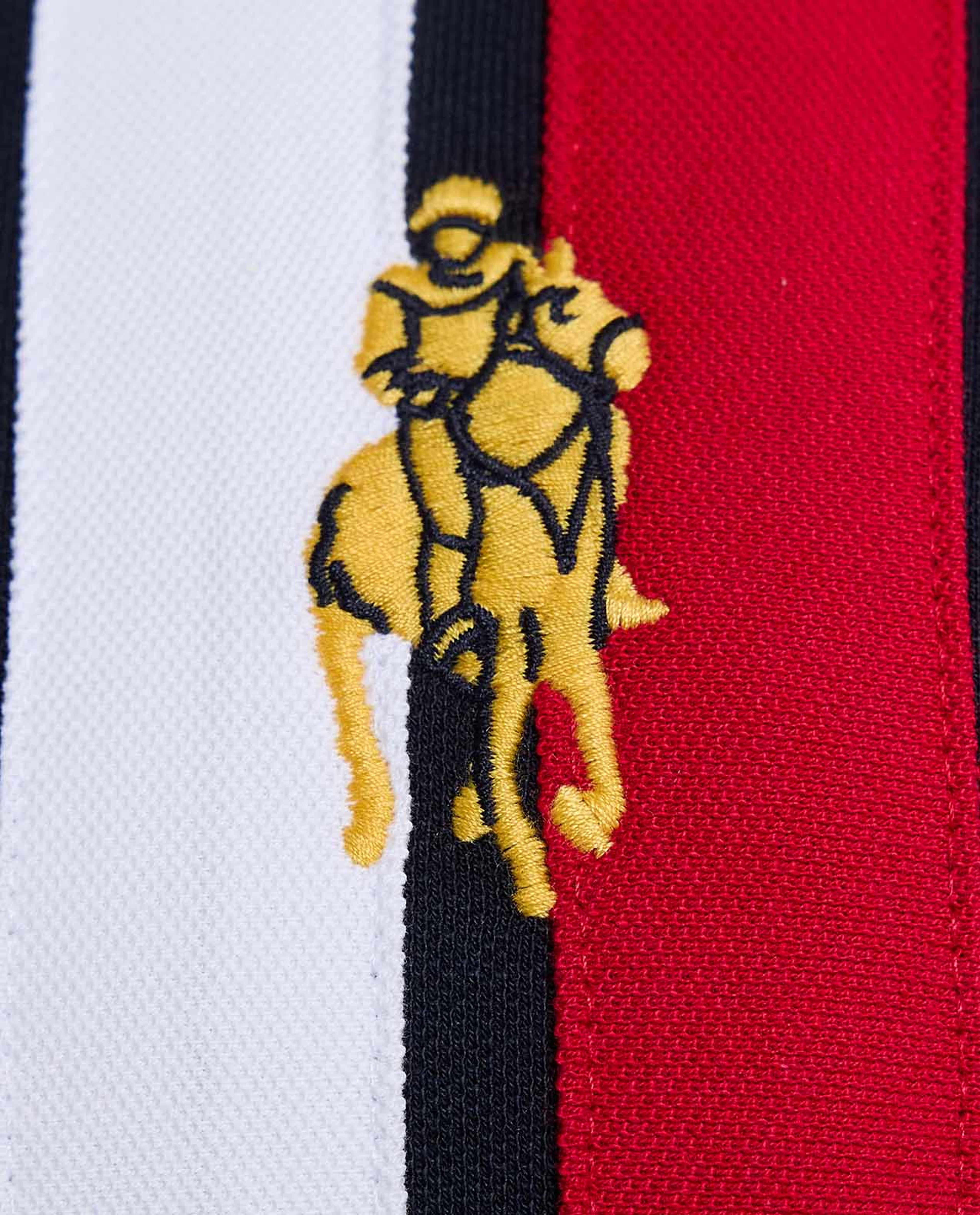 تيشيرت بولو بألوان متناسقة وأكمام قصيرة