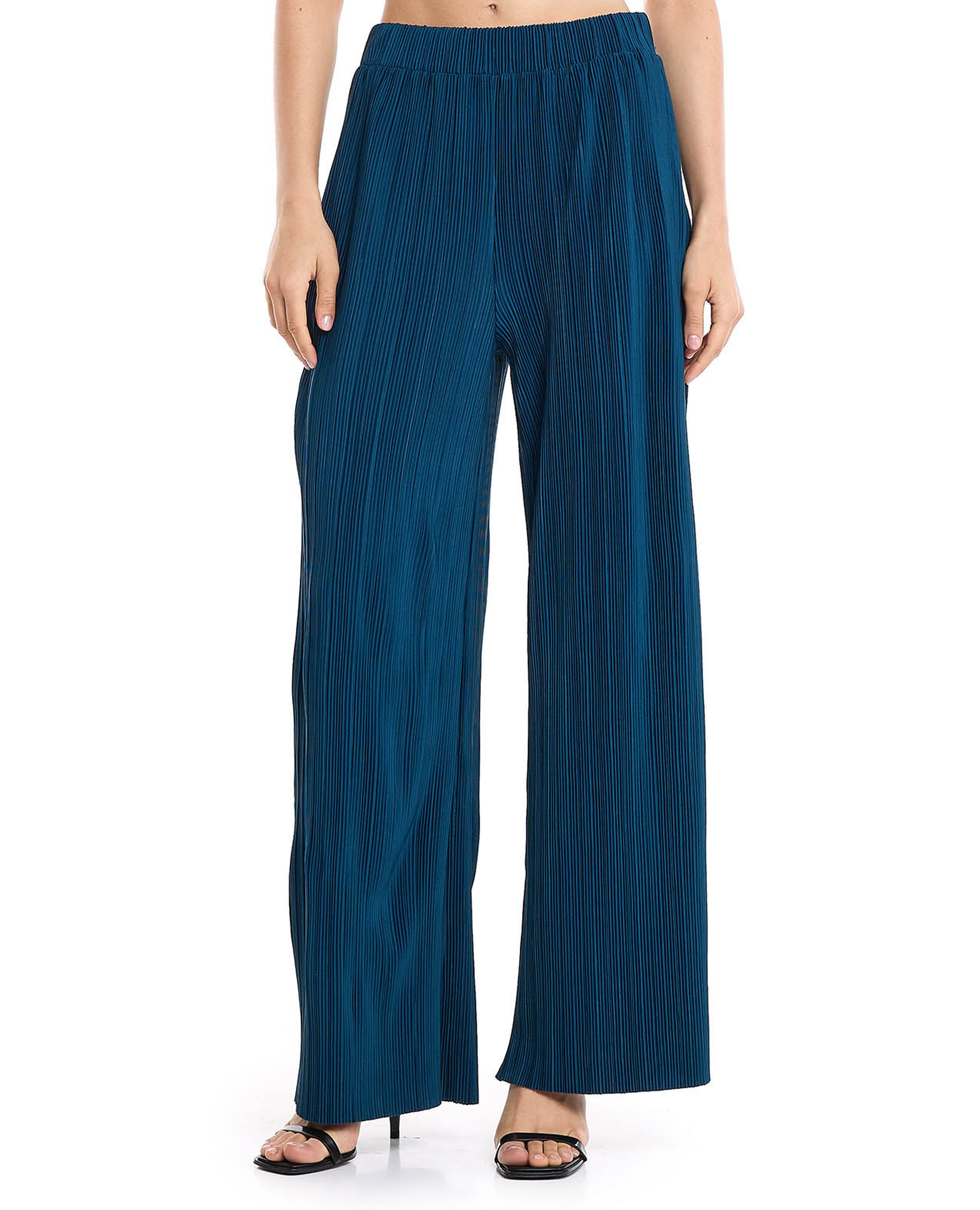 Pleated Wide Leg Pants with Elastic Waist