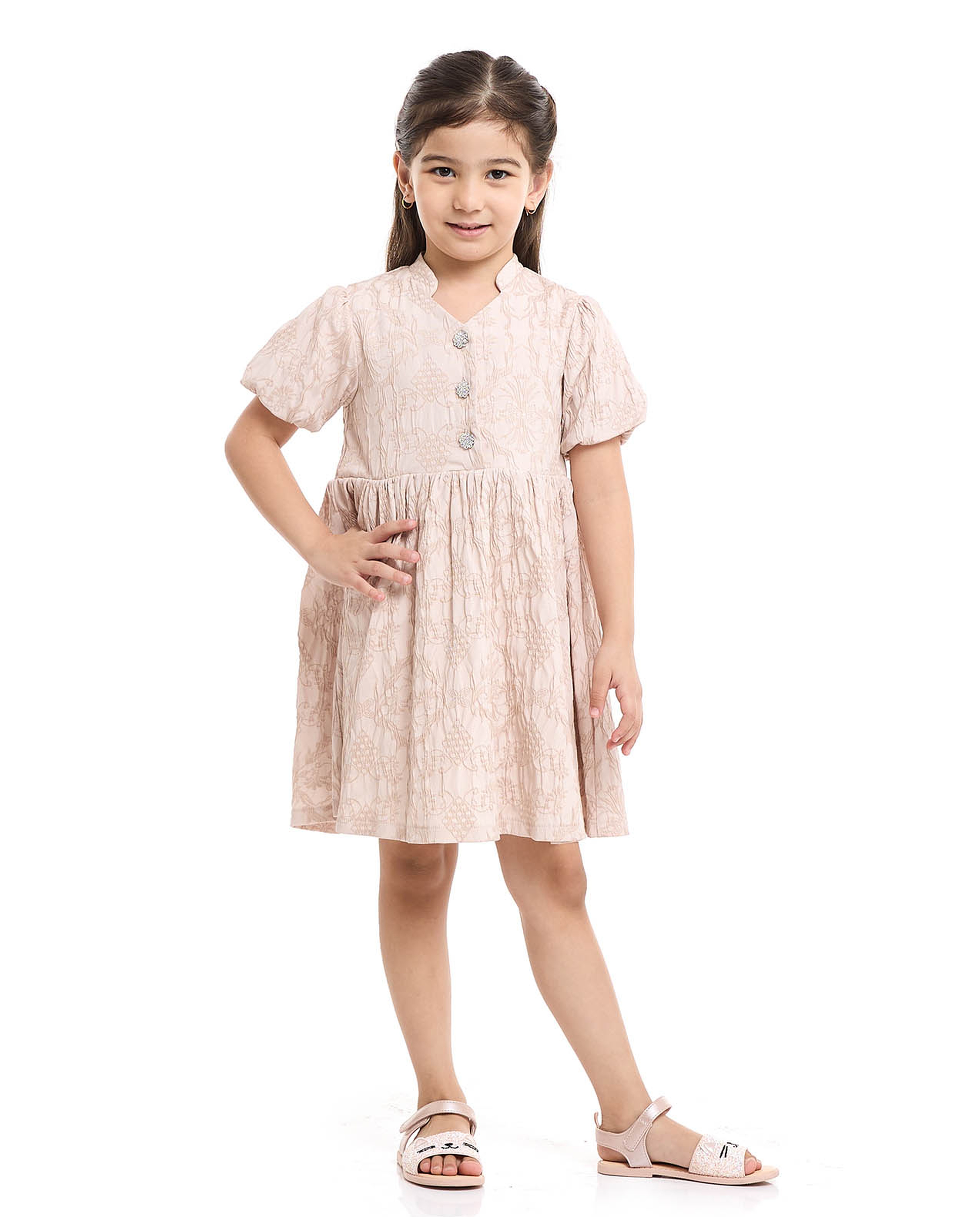 Embroidered Fit and Flare Dress with Puff Sleeves