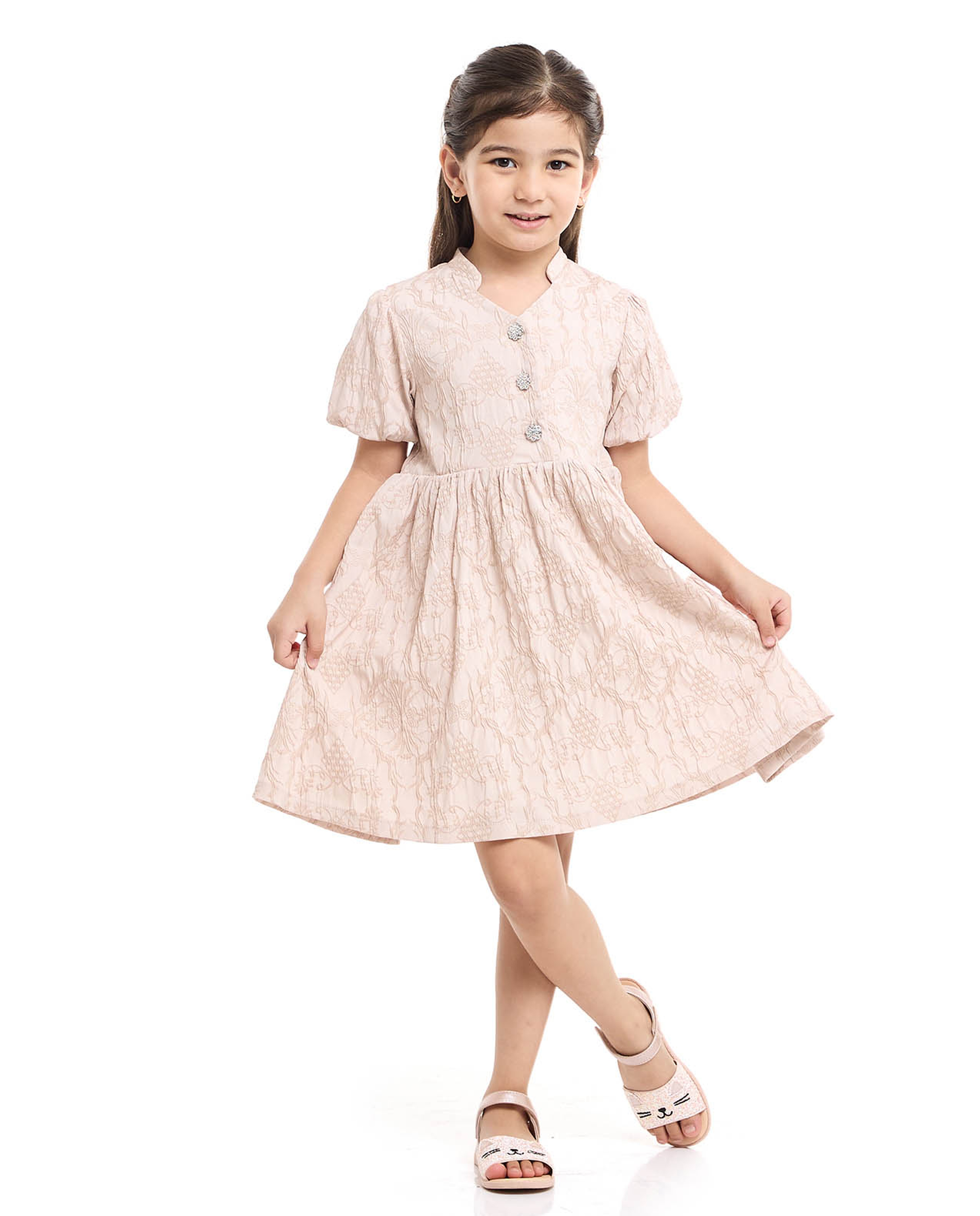 Embroidered Fit and Flare Dress with Puff Sleeves