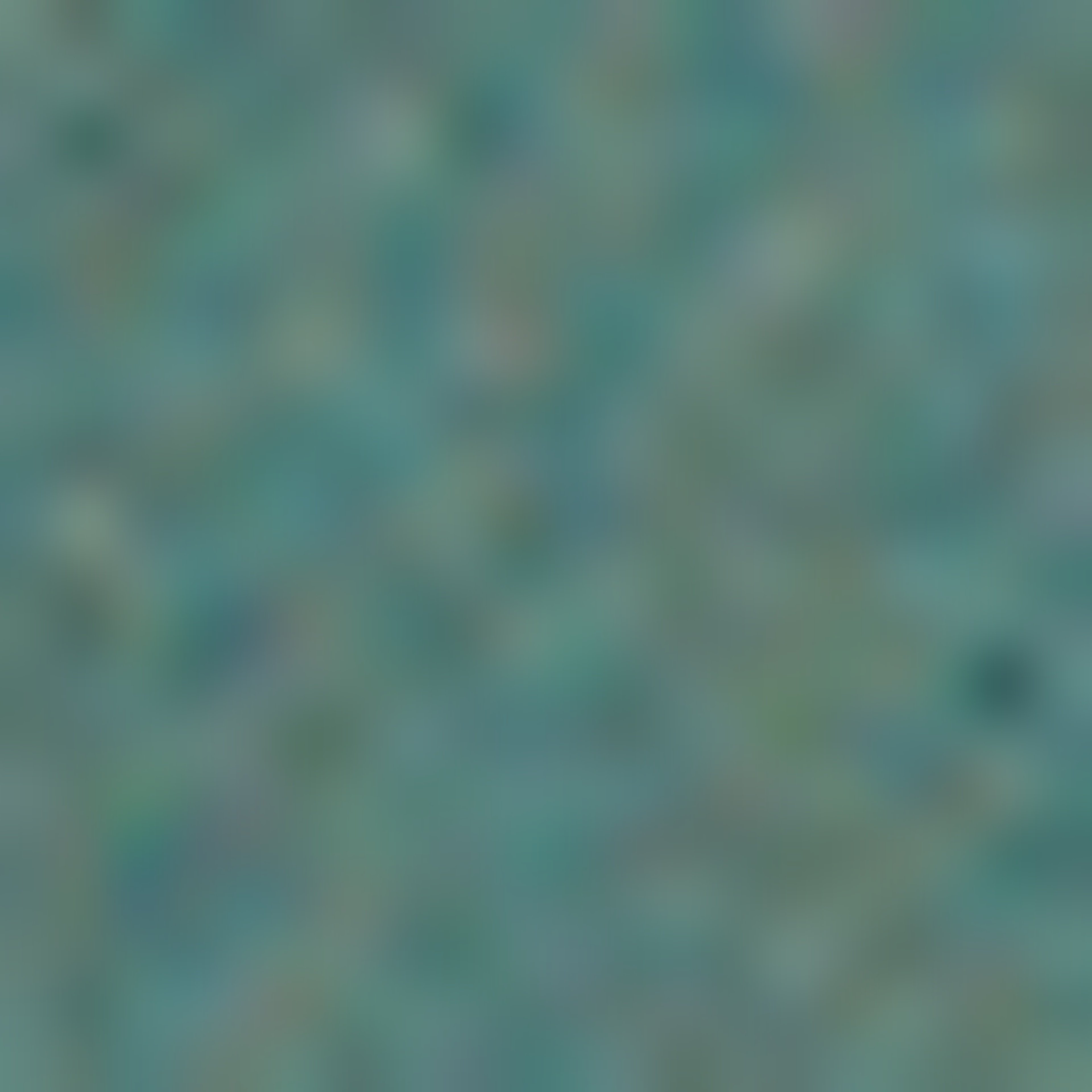 Solid Hooded Jacket with Zipper Closure