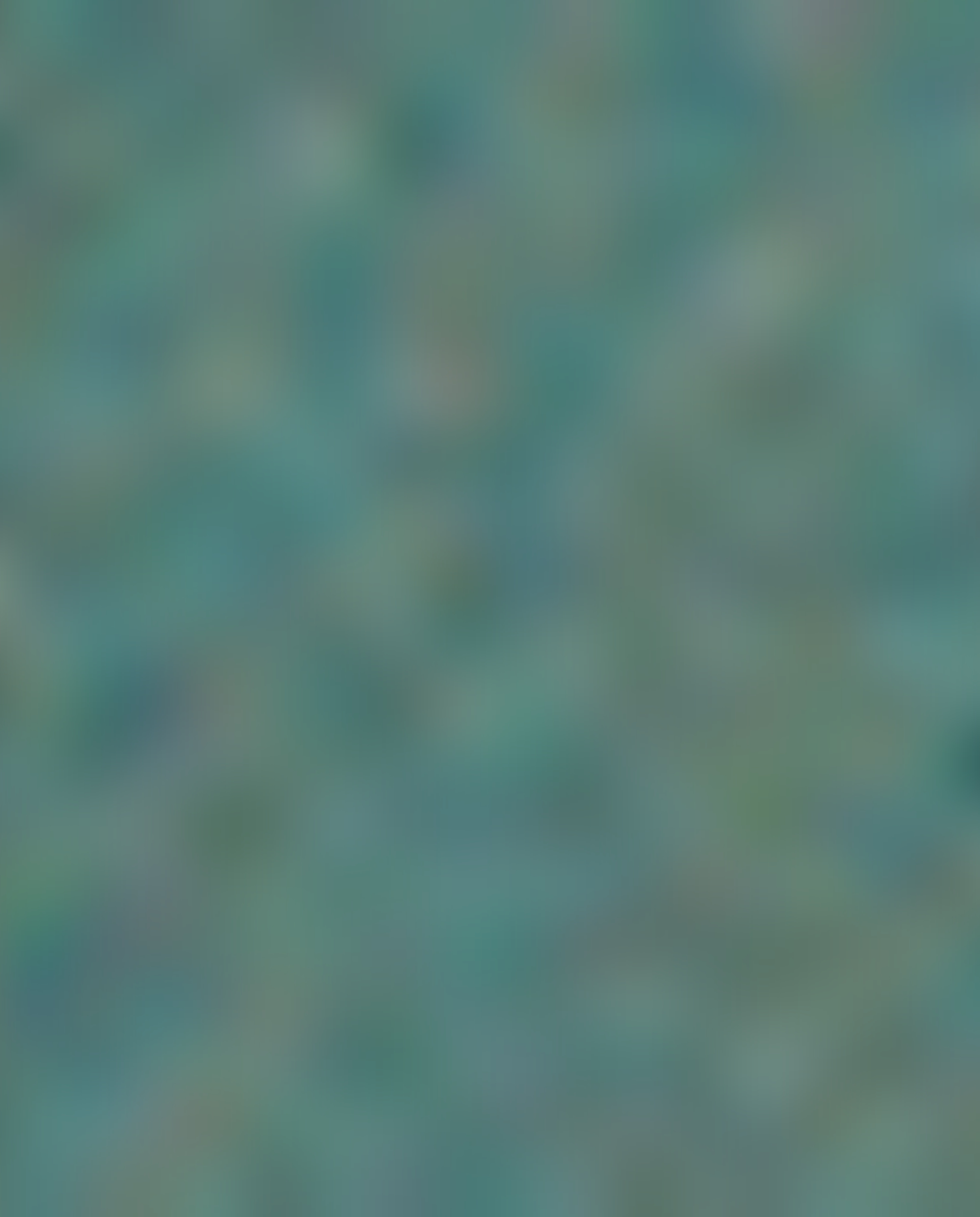 Solid Hooded Jacket with Zipper Closure