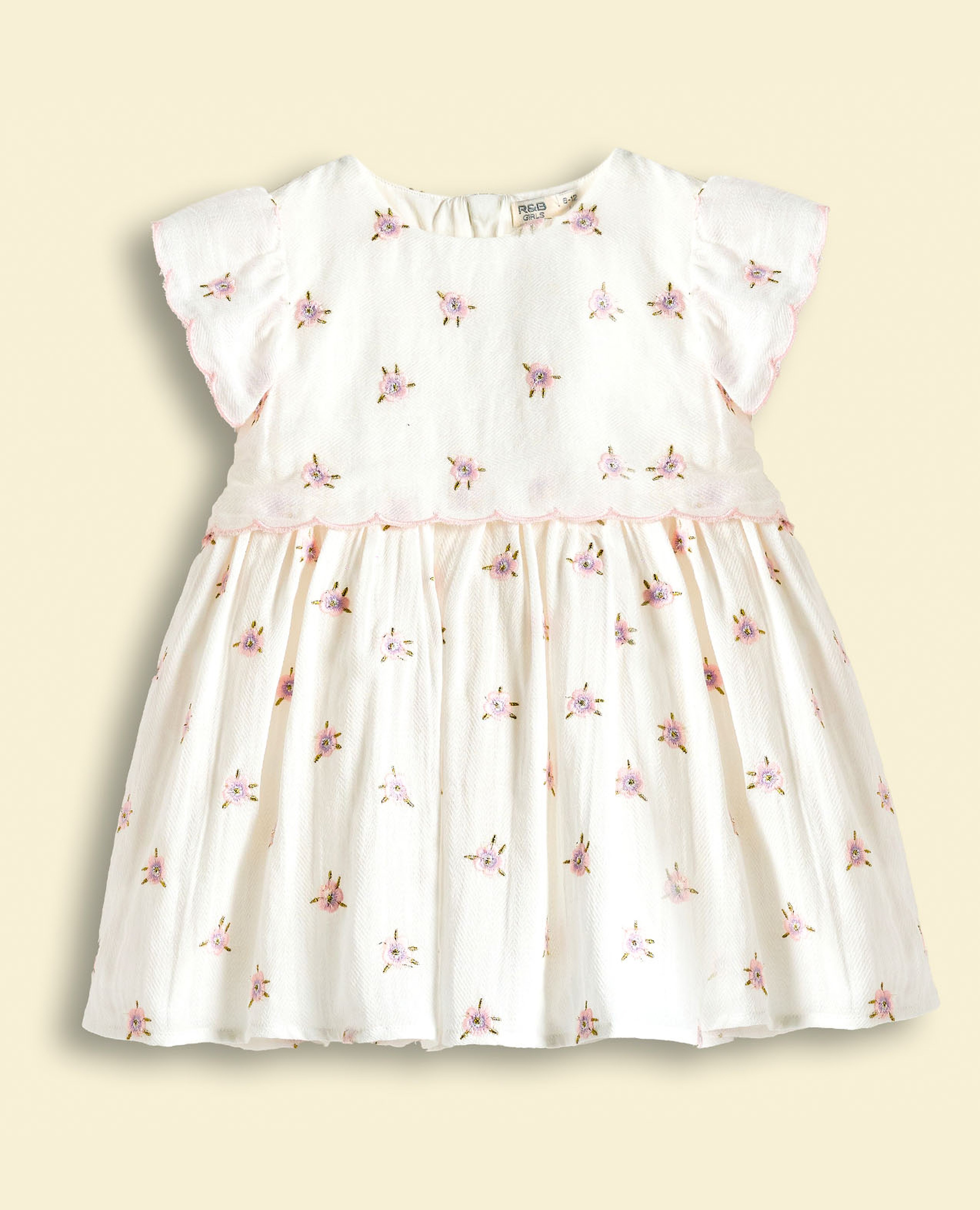 Embroidered Fit and Flare Dress with Short Sleeves