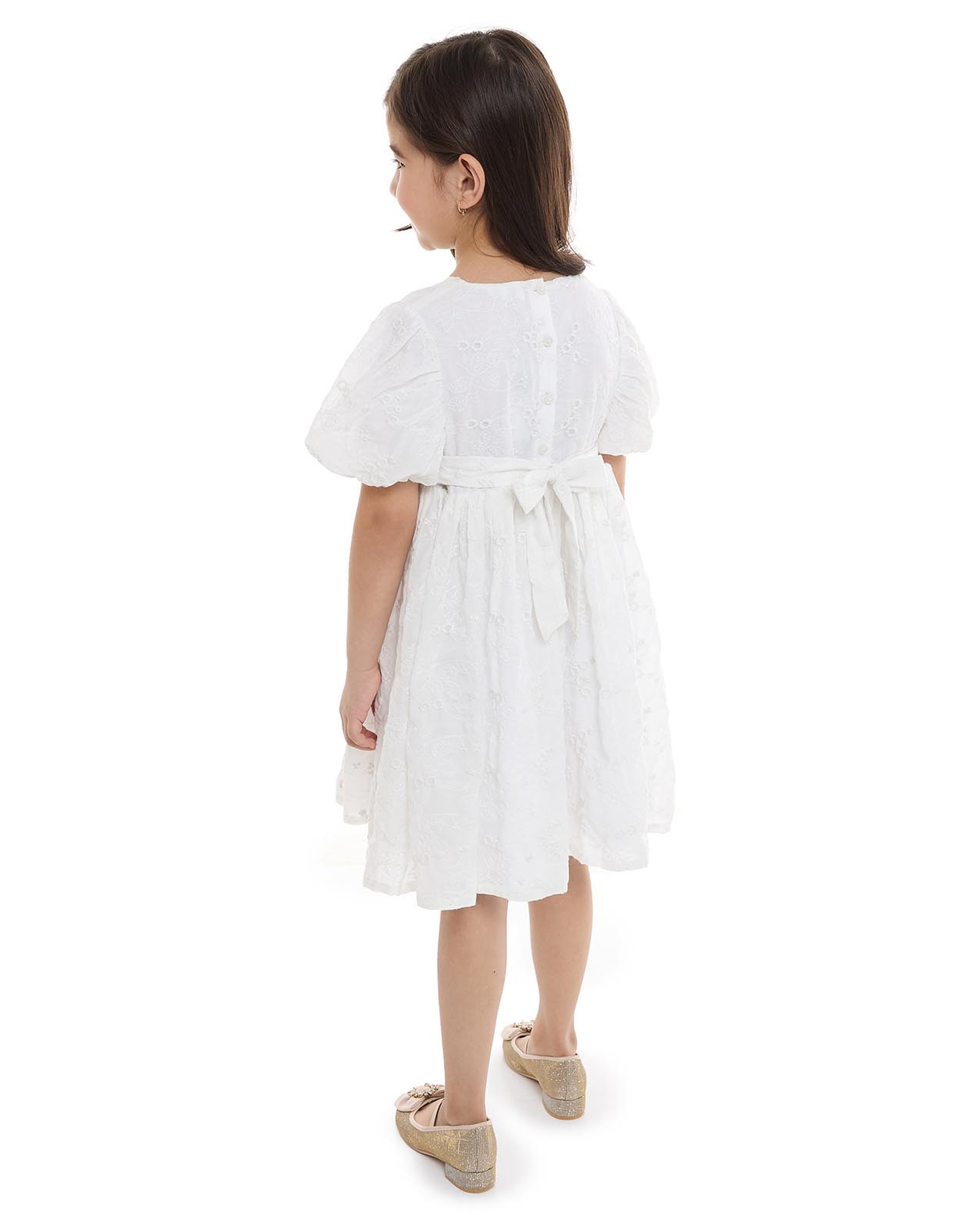 Embroidered Fit and Flare Dress with Crew Neck and Balloon Sleeves