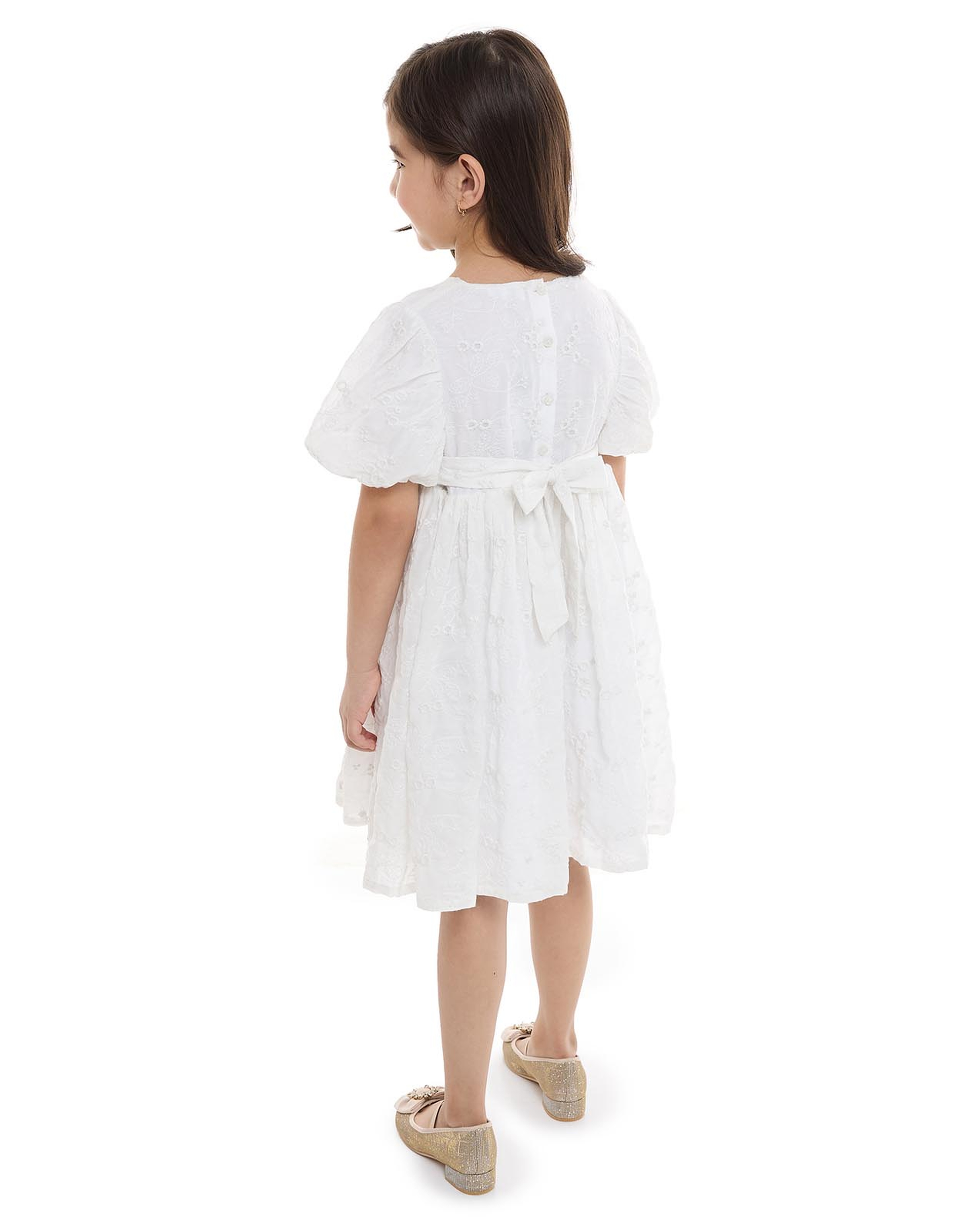 Embroidered Fit and Flare Dress with Crew Neck and Balloon Sleeves