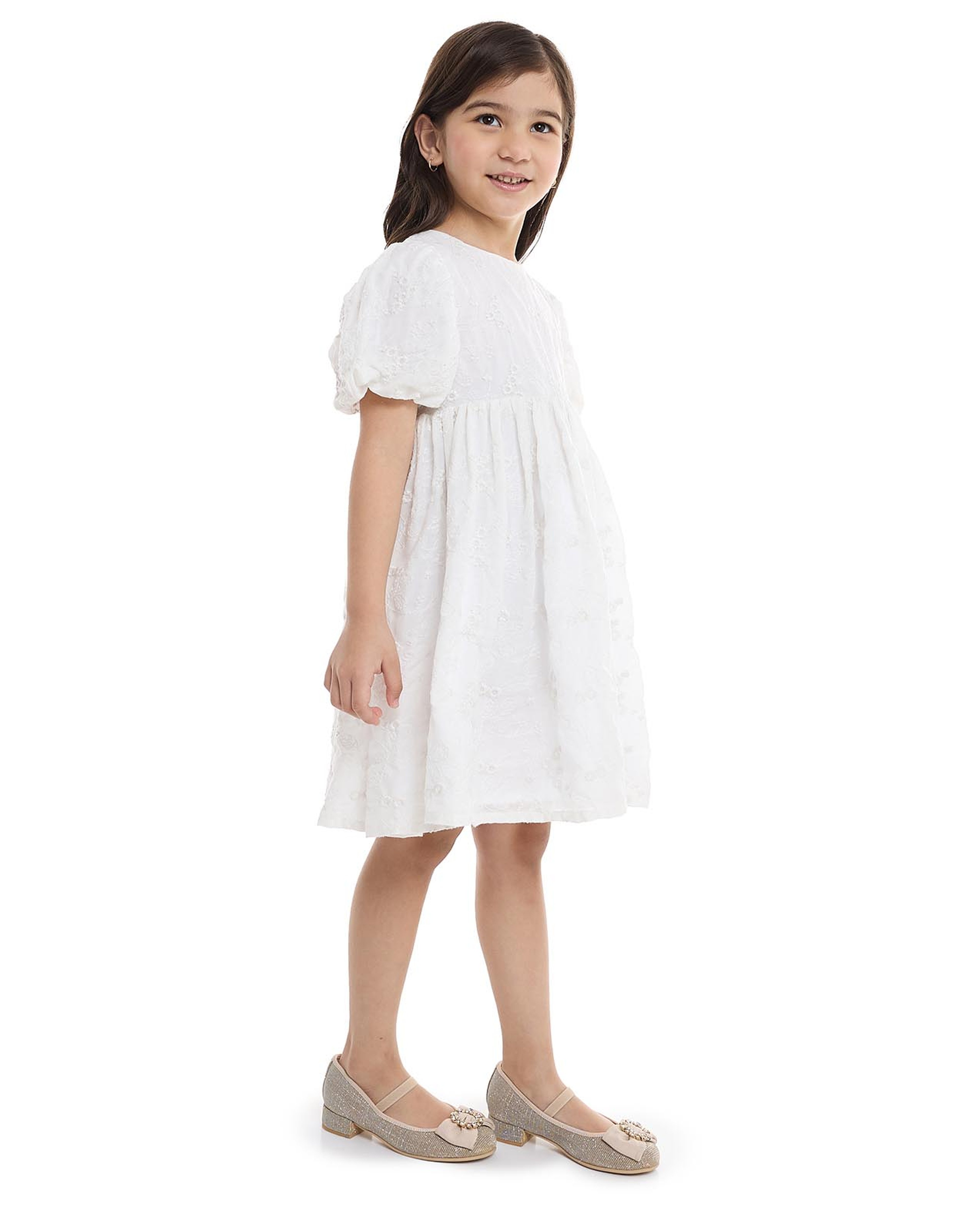 Embroidered Fit and Flare Dress with Crew Neck and Balloon Sleeves