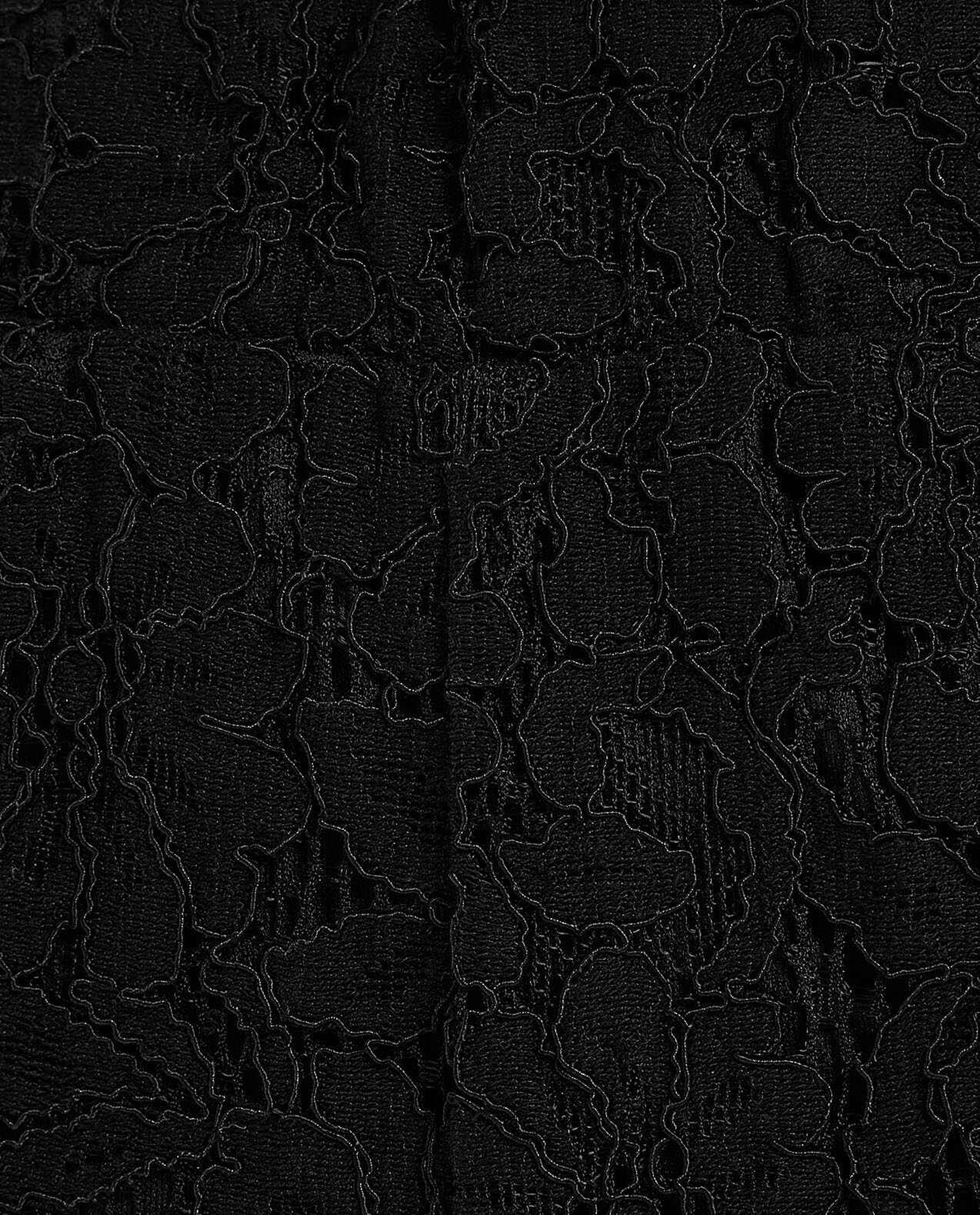 Laced Shirt With Spread Collar And Long Sleeves