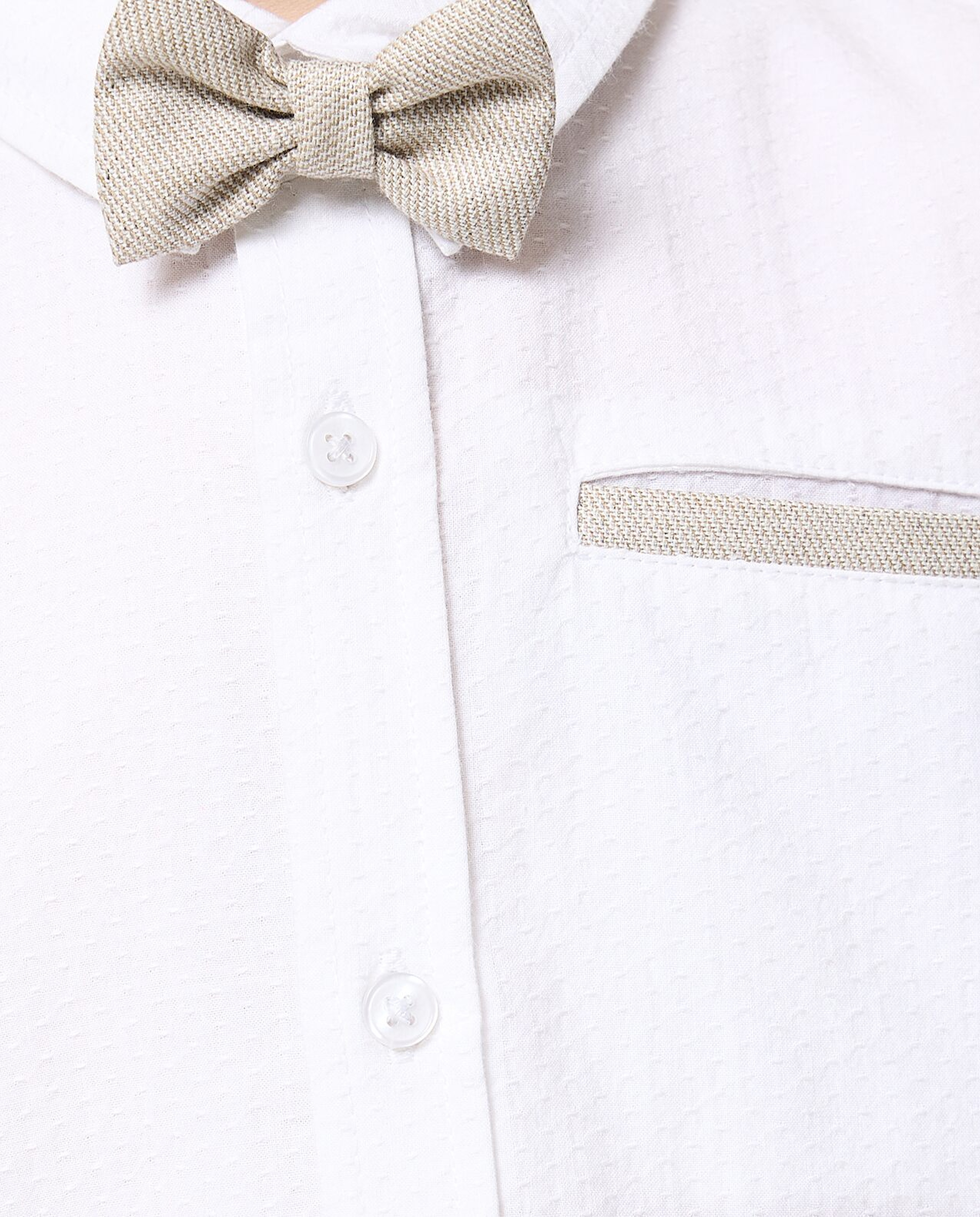 Solid Shirt with Classic Collar and Long Sleeves