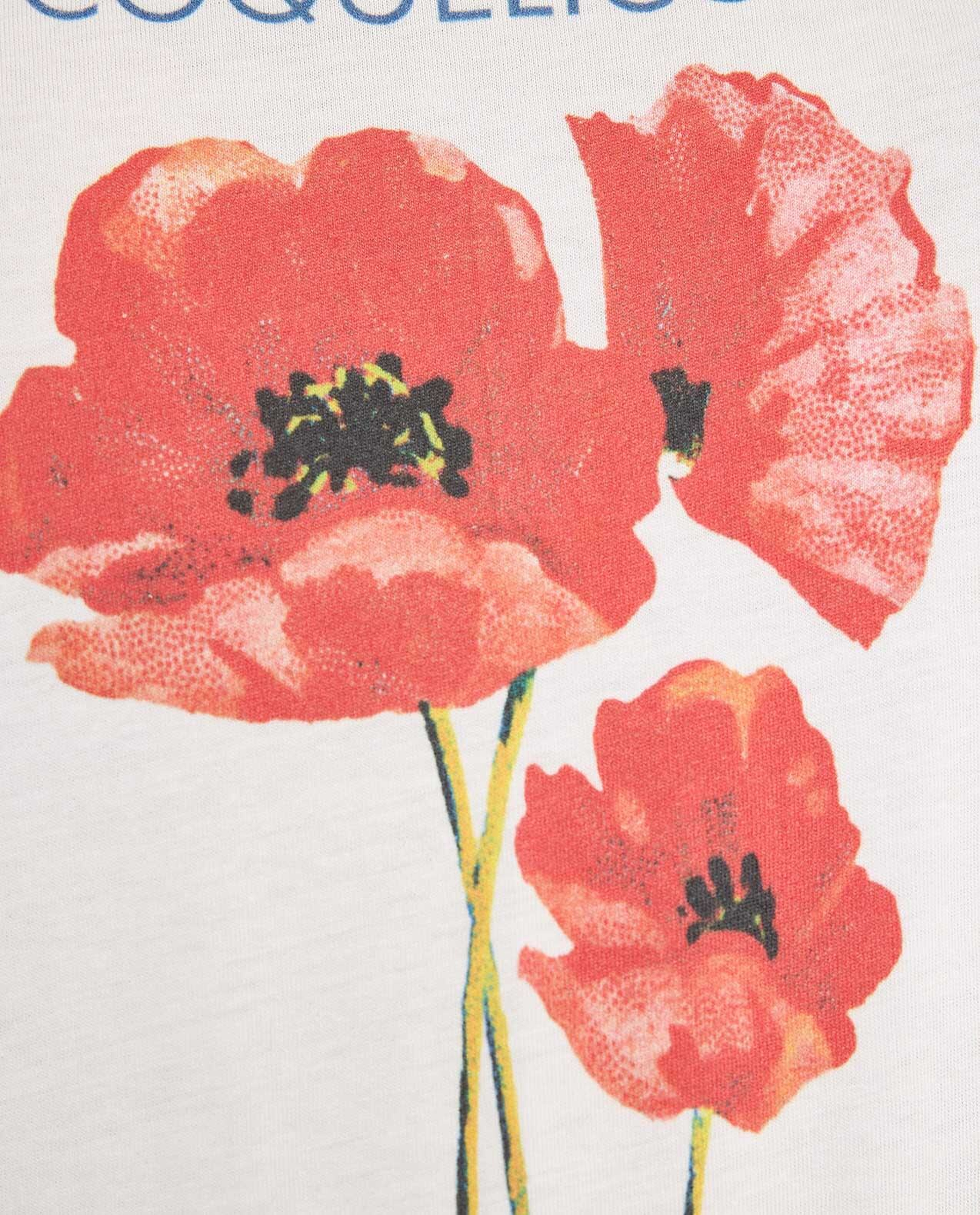 Printed T-Shirt with Crew Neck and Short Sleeves