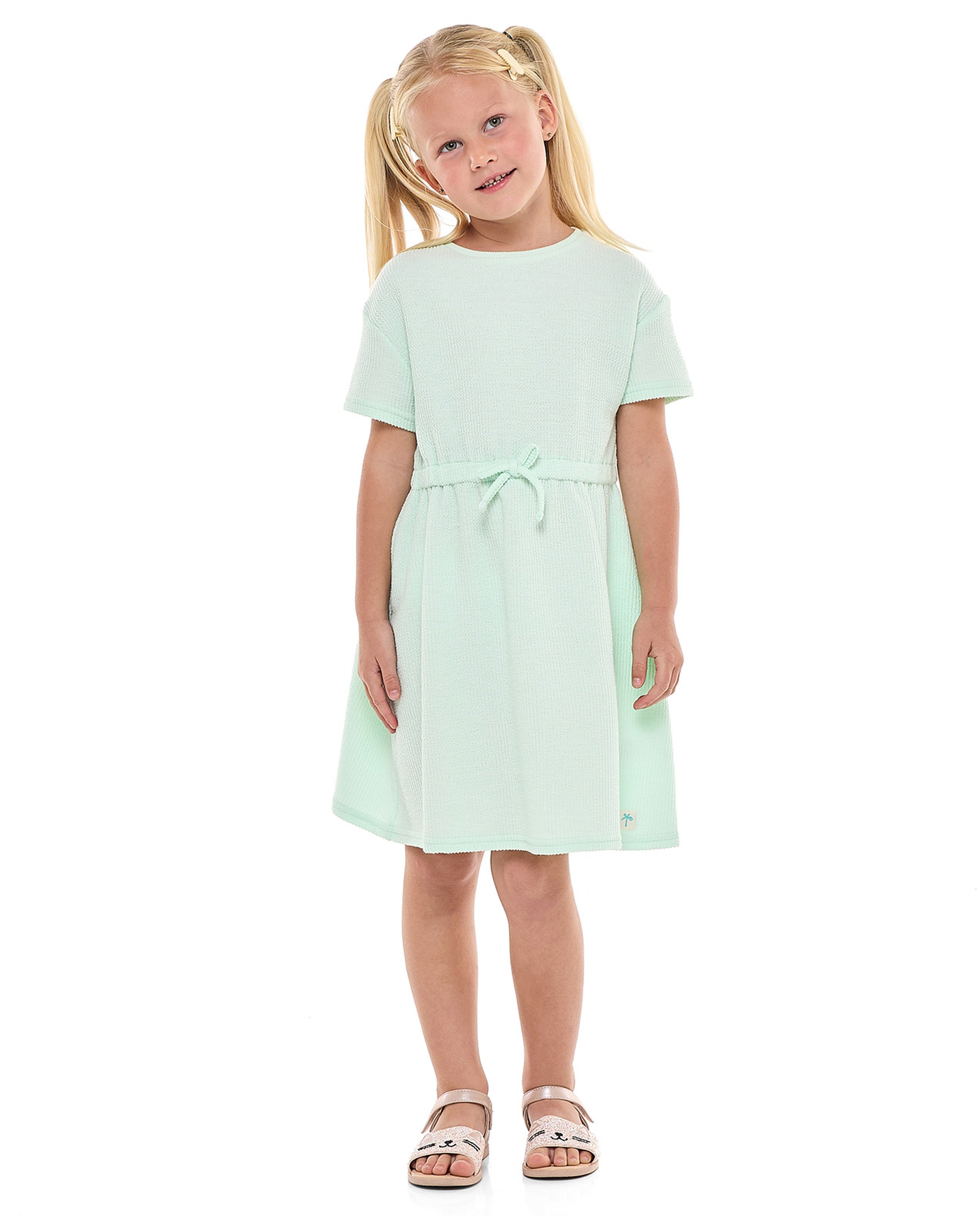 Textured Dress with Crew Neck and Short Sleeves