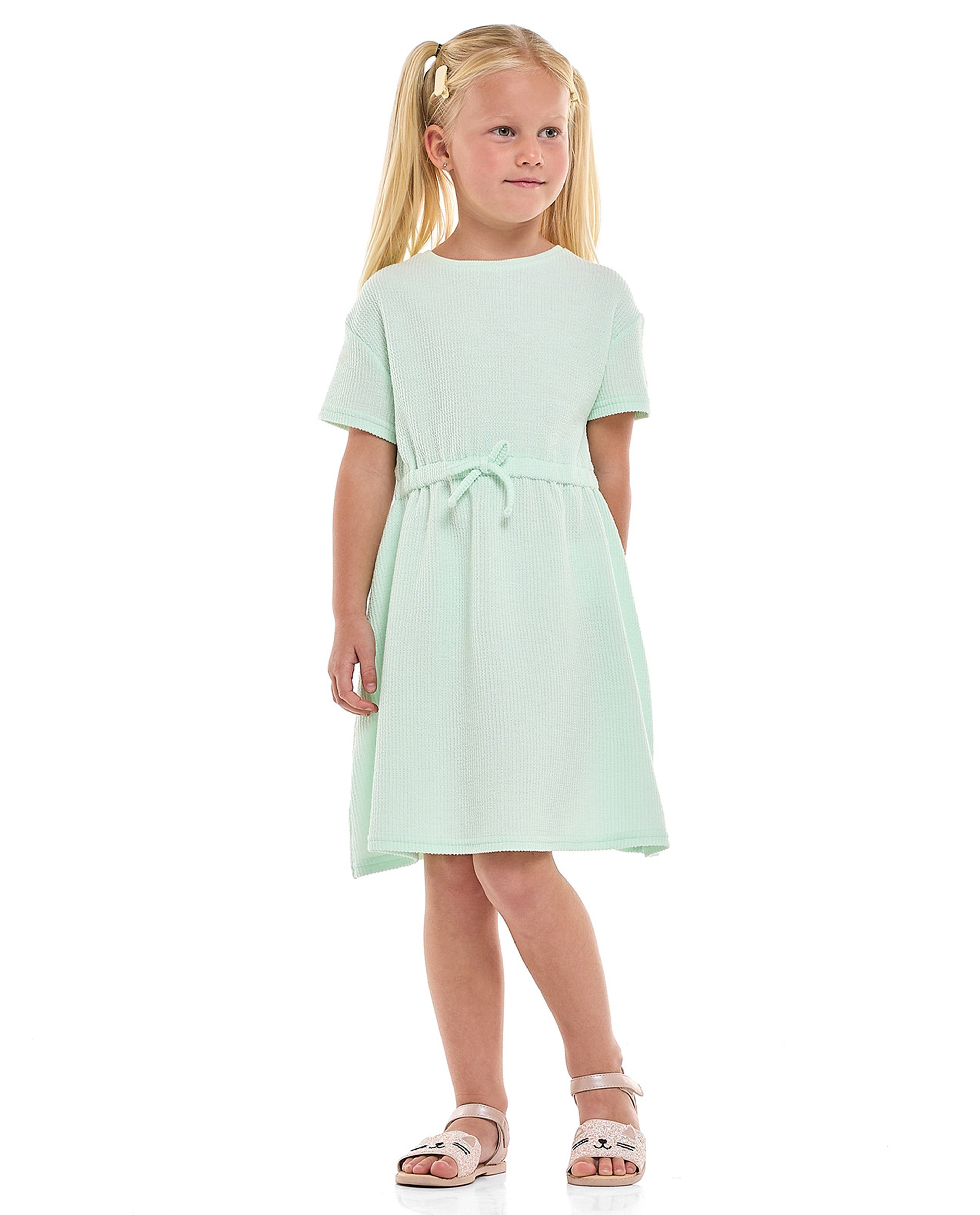 Textured Dress with Crew Neck and Short Sleeves