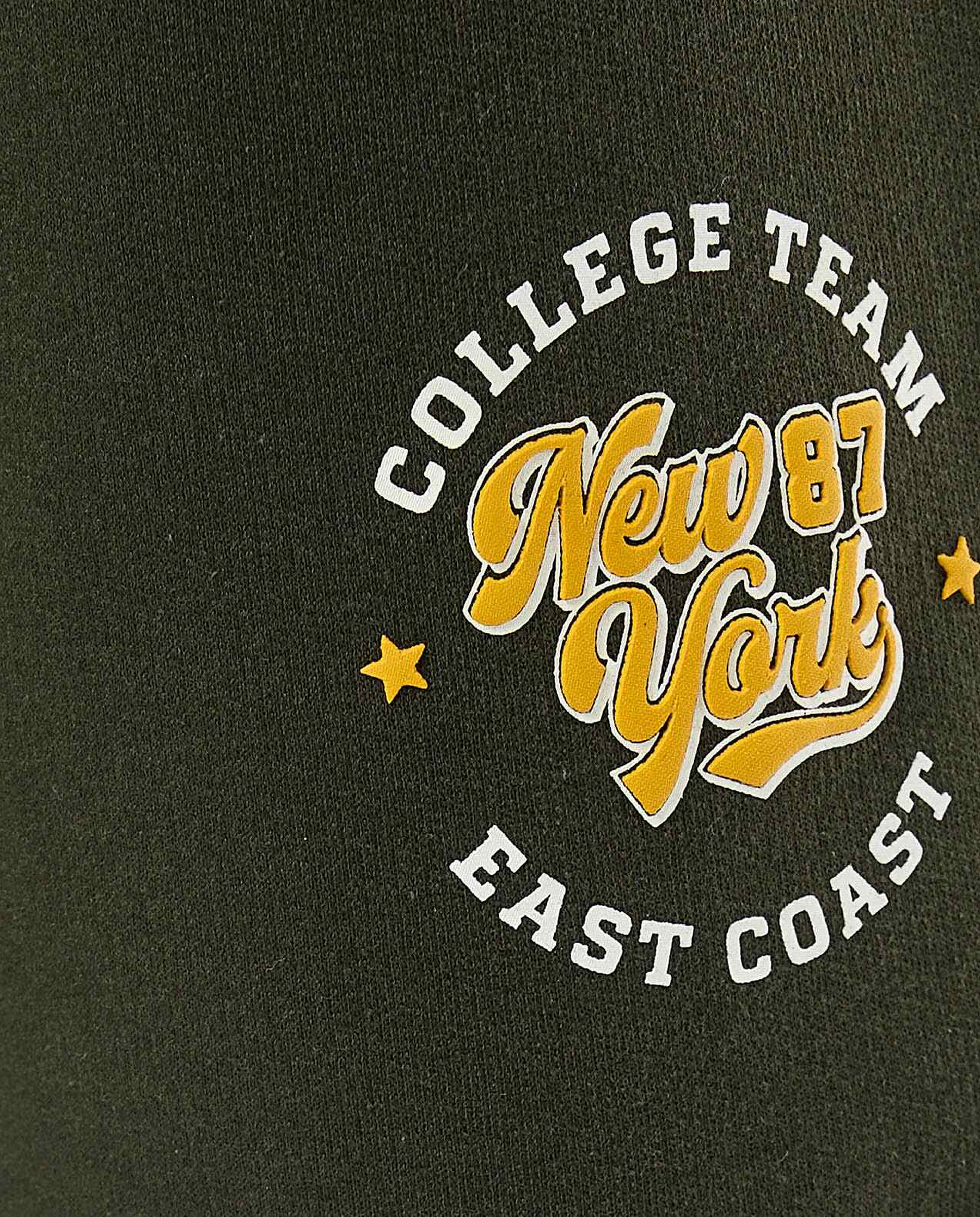 Printed Shorts with Drawstring Waist