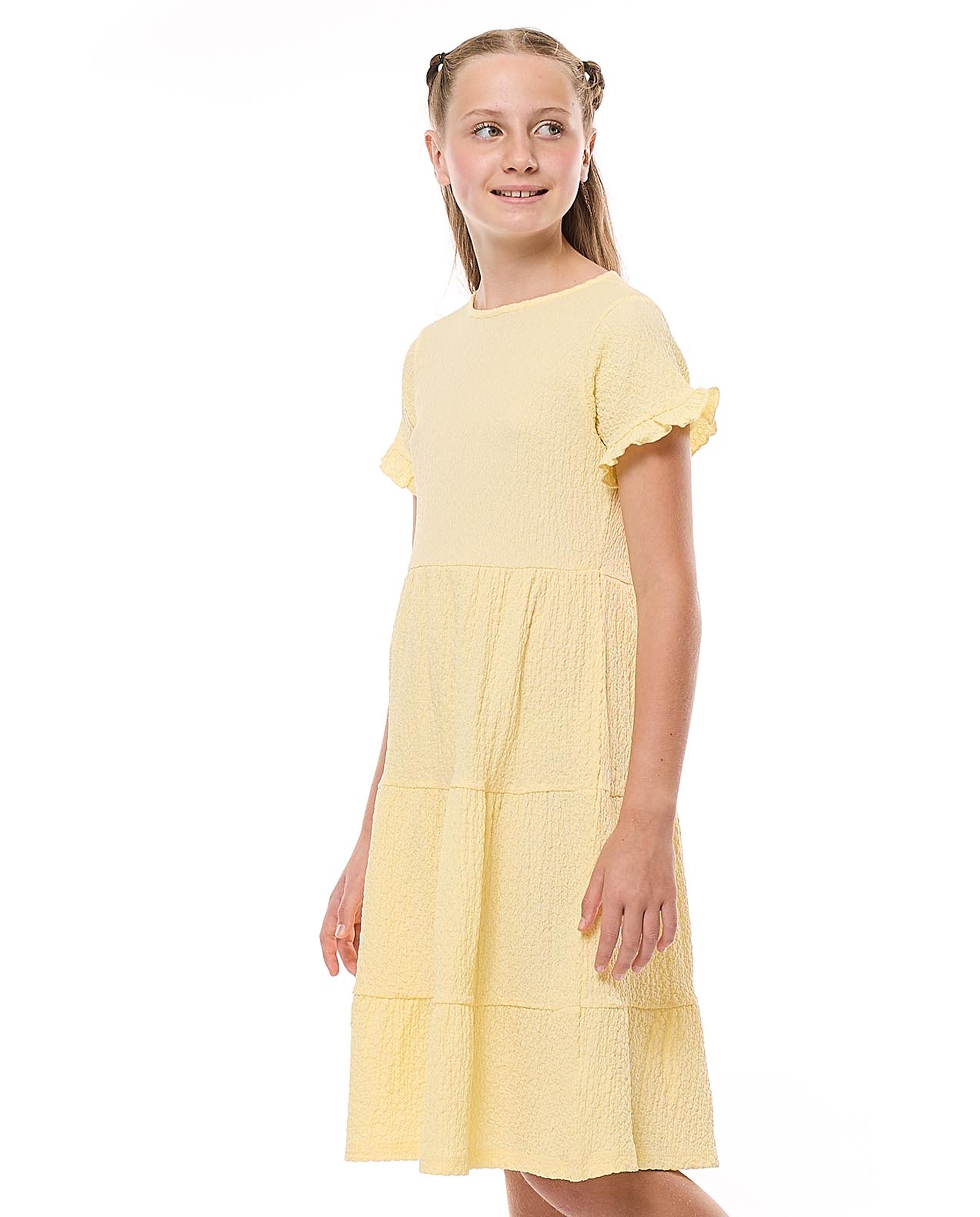 Textured Tiered Dress with Crew Neck and Short Sleeves