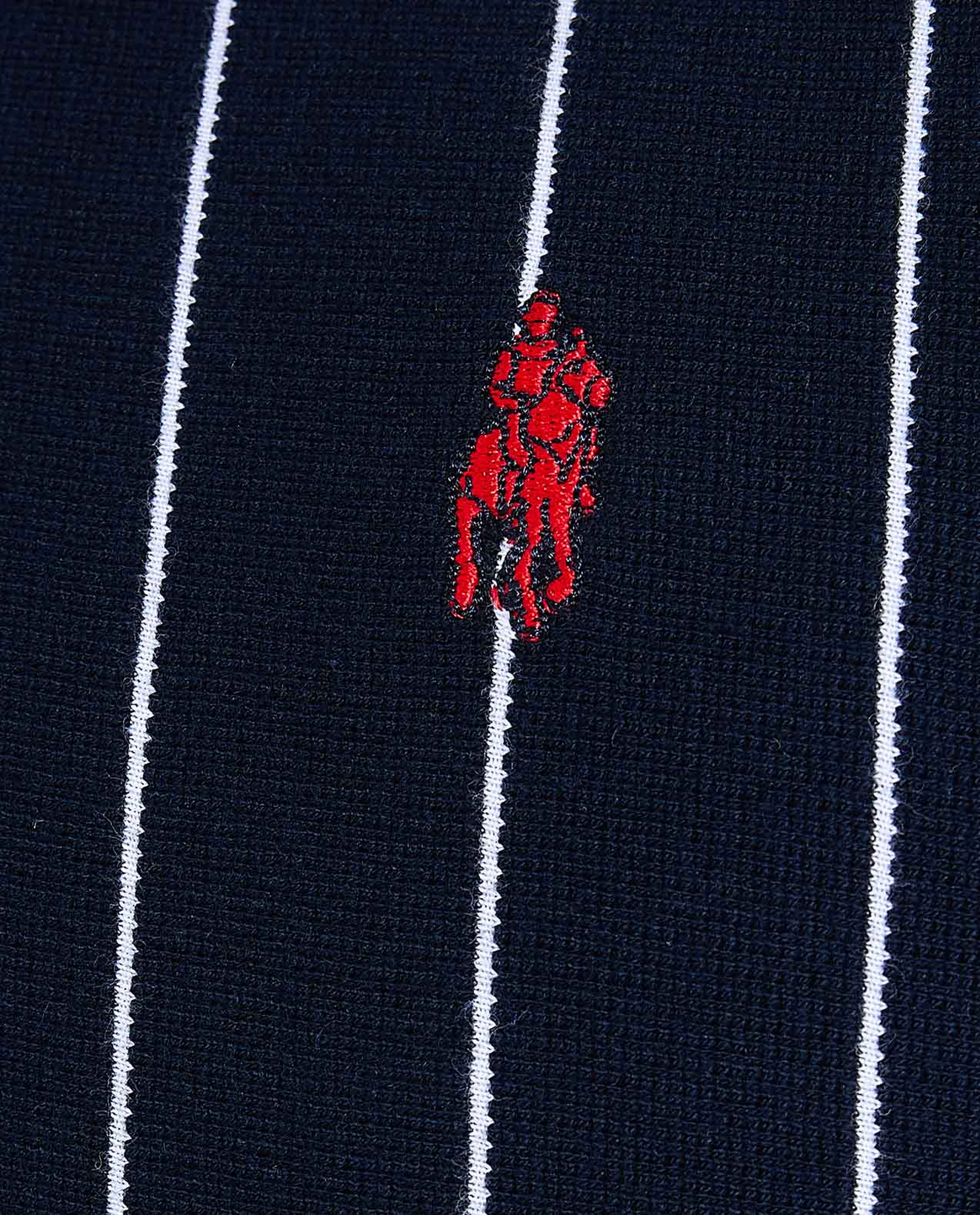 Striped Polo T-Shirt with Short Sleeves