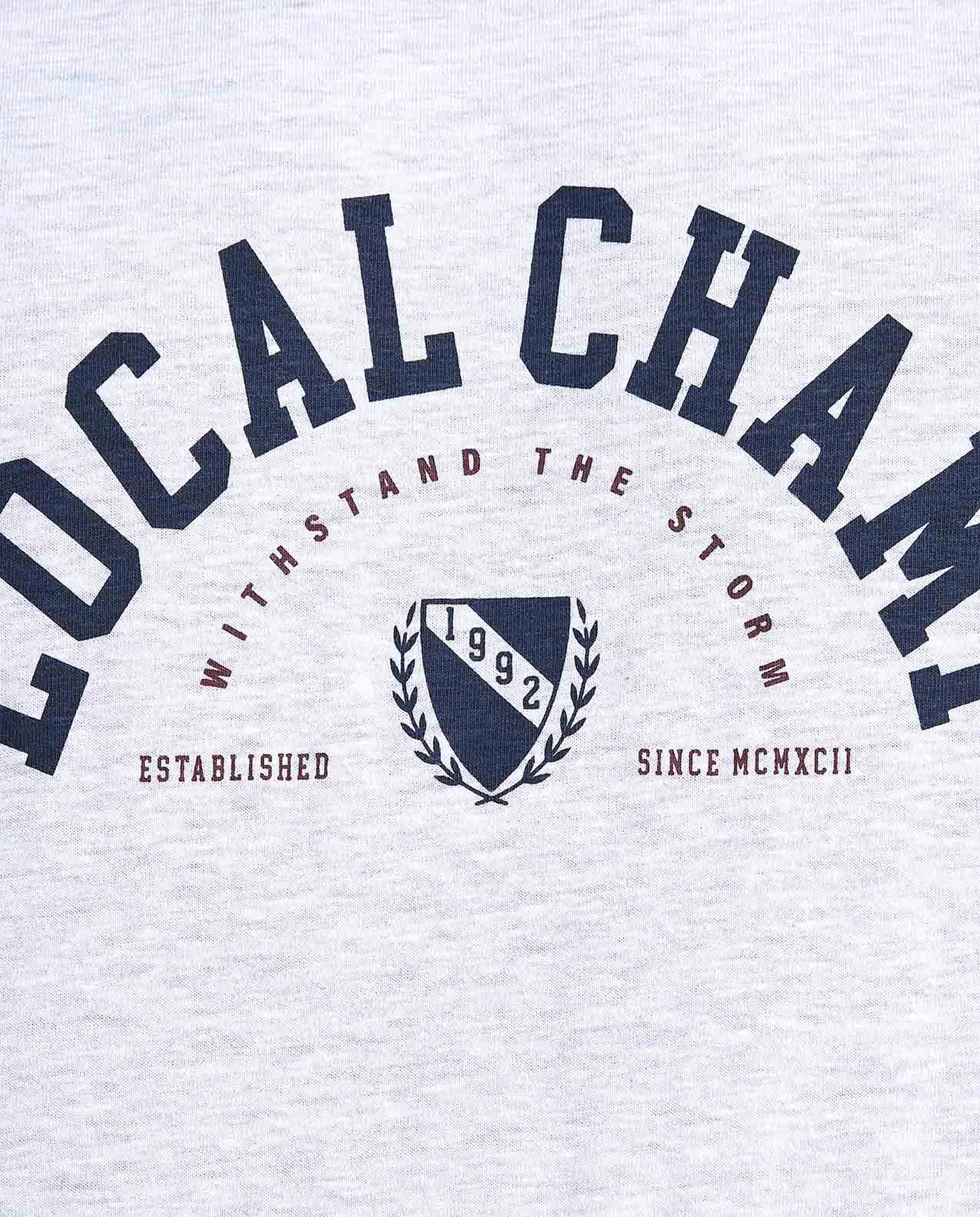 Printed T-Shirt with Crew Neck and Short Sleeves