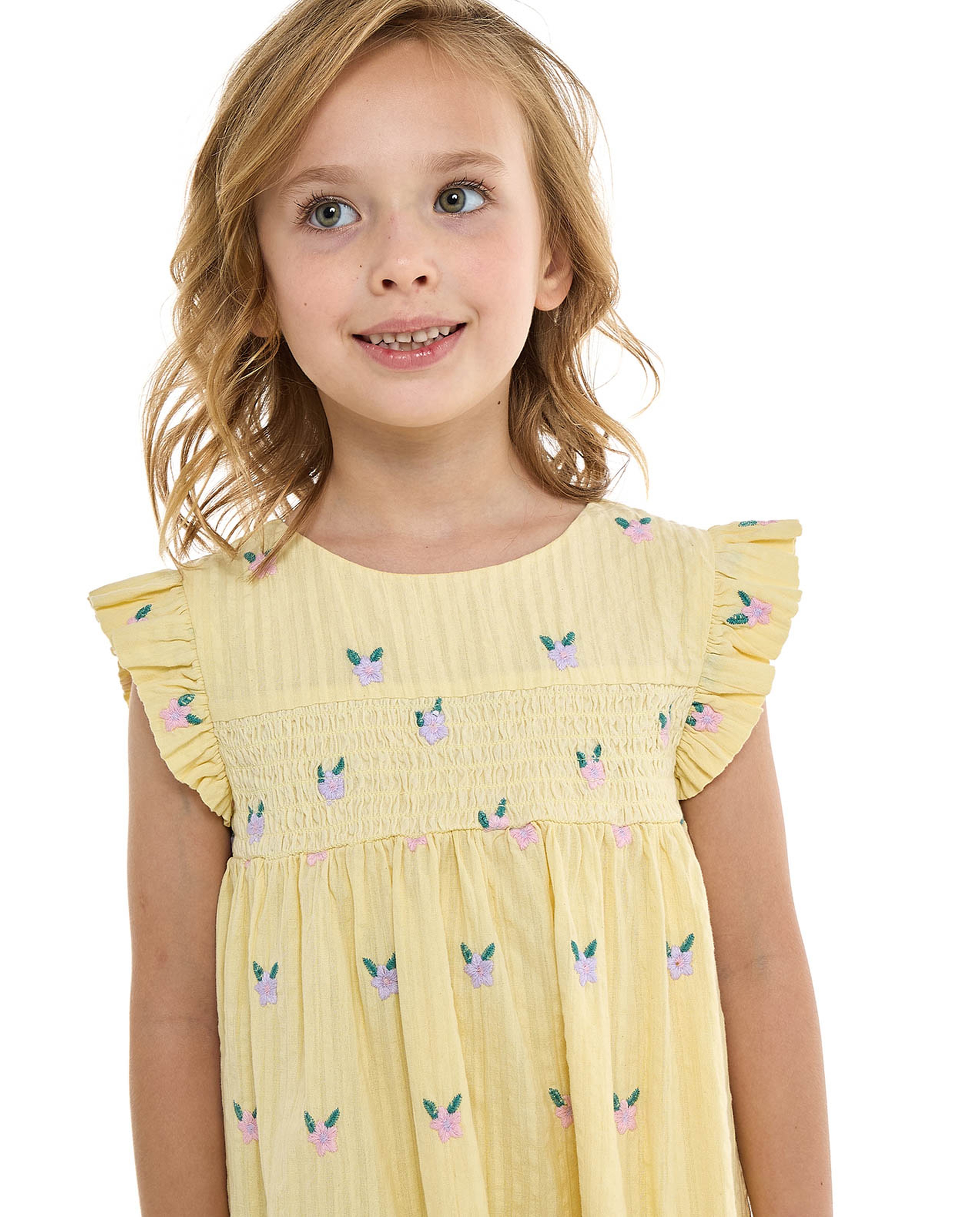 Embroidered Flared Dress with Crew Neck and Flutter Sleeves