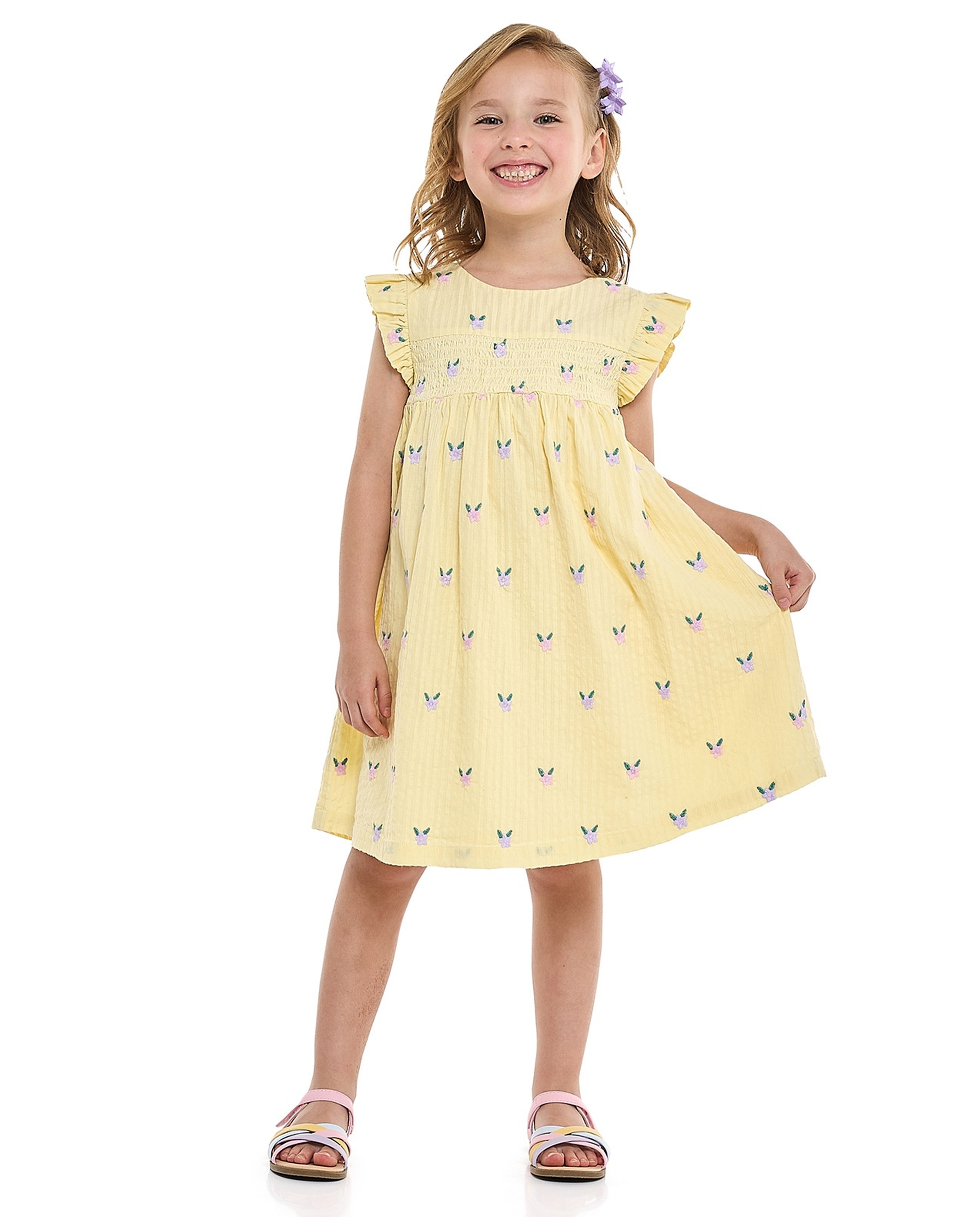 Embroidered Flared Dress with Crew Neck and Flutter Sleeves