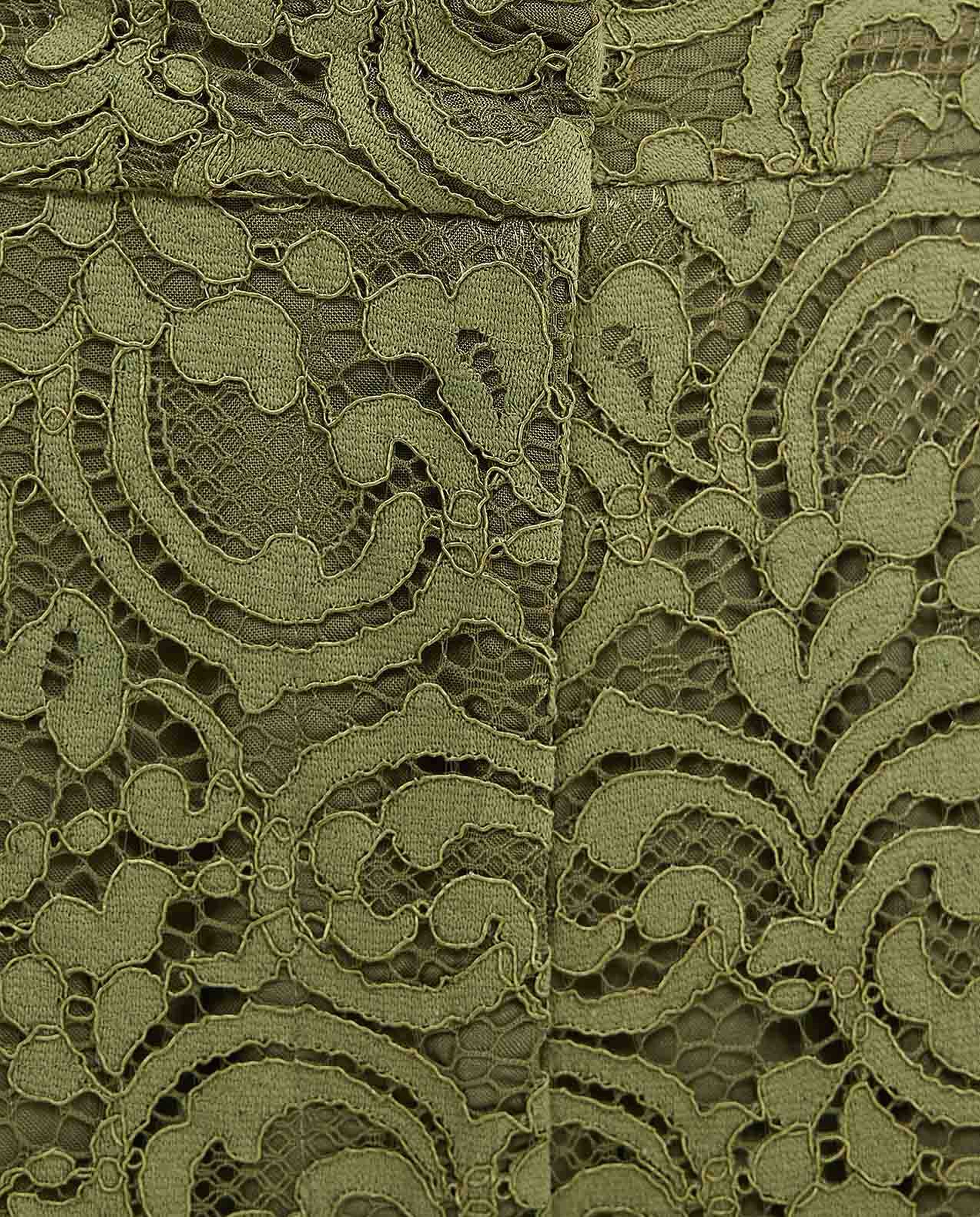 Lace Shirt with Classic Collar and Short Sleeves