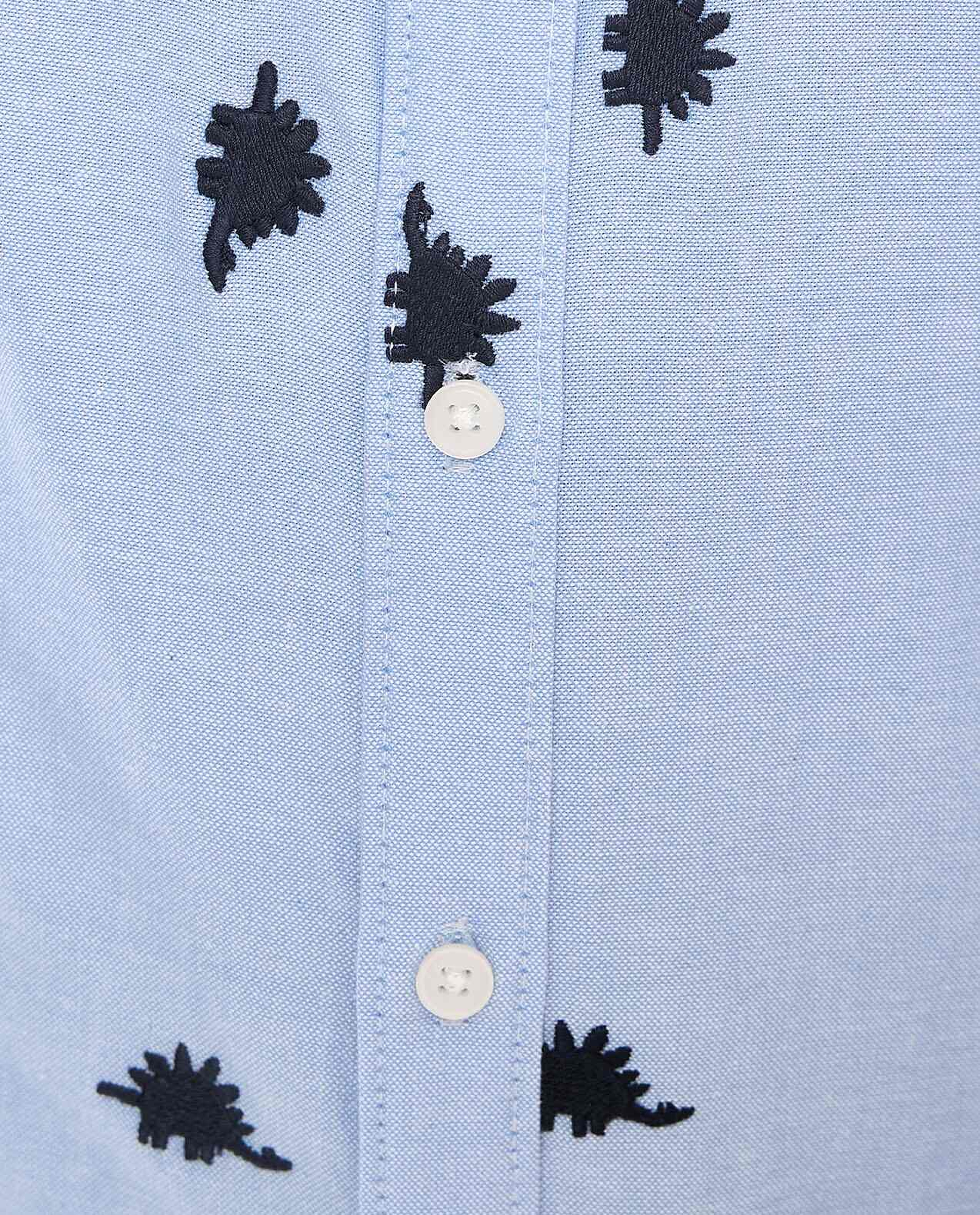 Embroidered Shirt with Classic Collar and Long Sleeves
