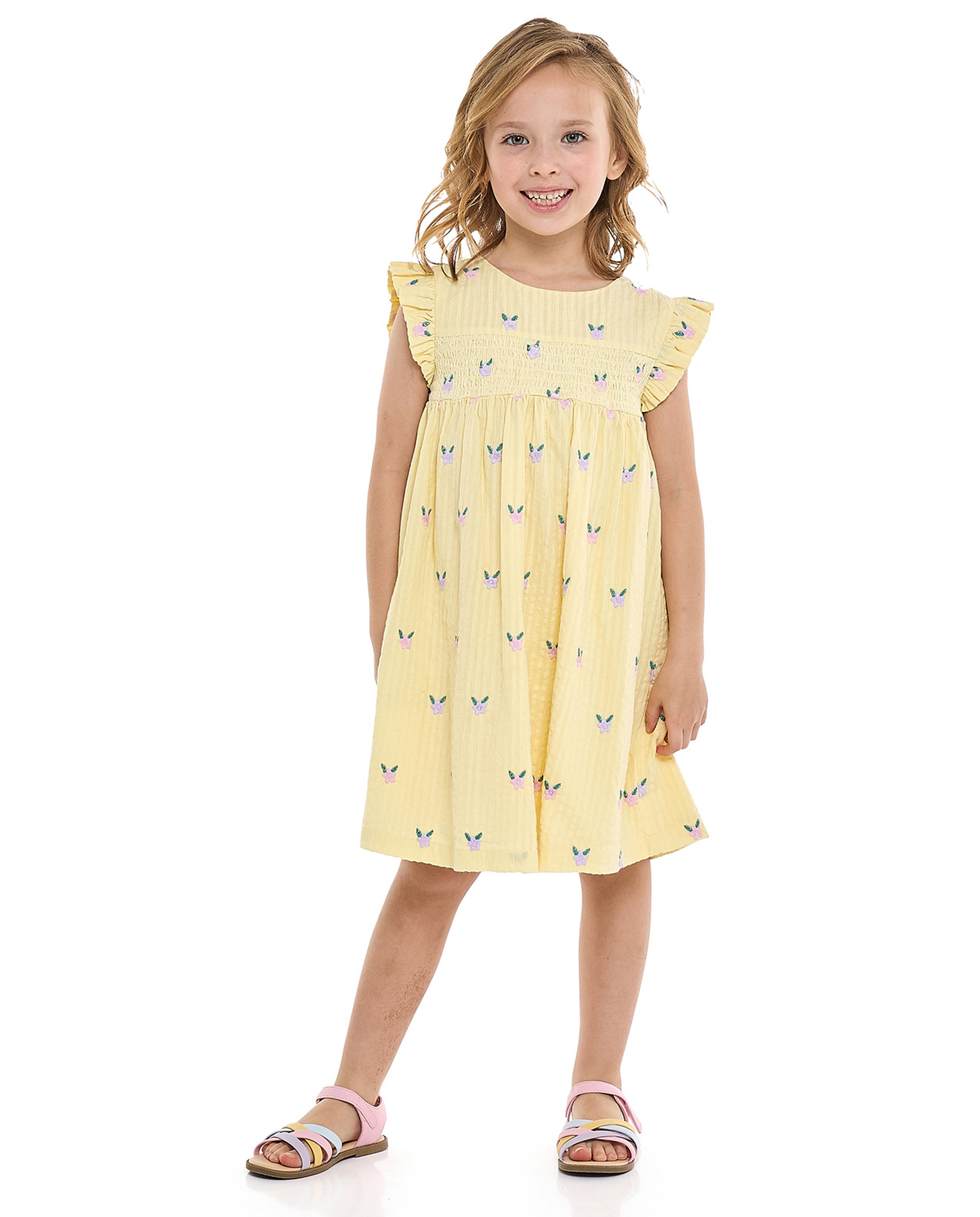 Embroidered Flared Dress with Crew Neck and Flutter Sleeves