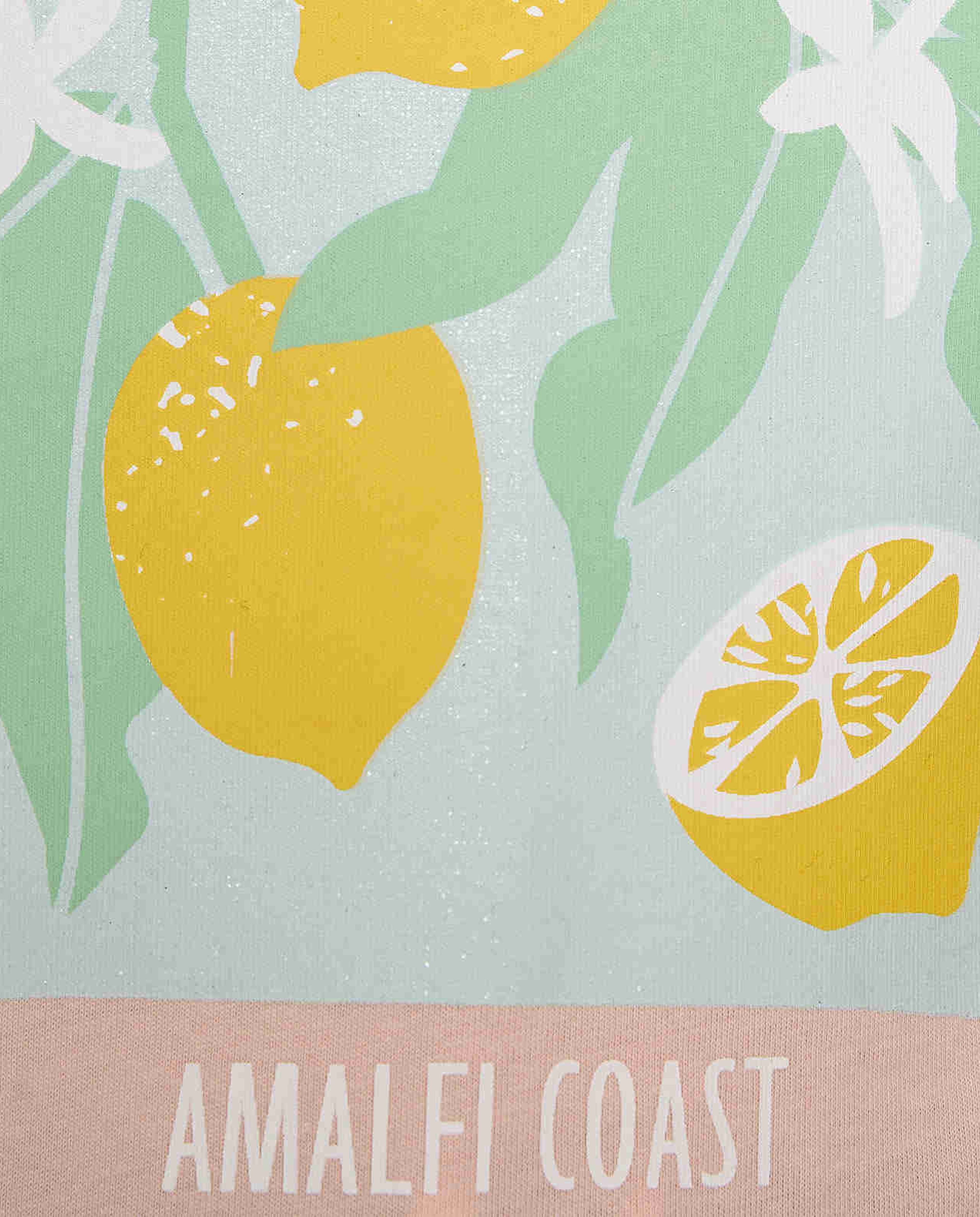 Printed T-Shirt with Crew Neck and Short Sleeves