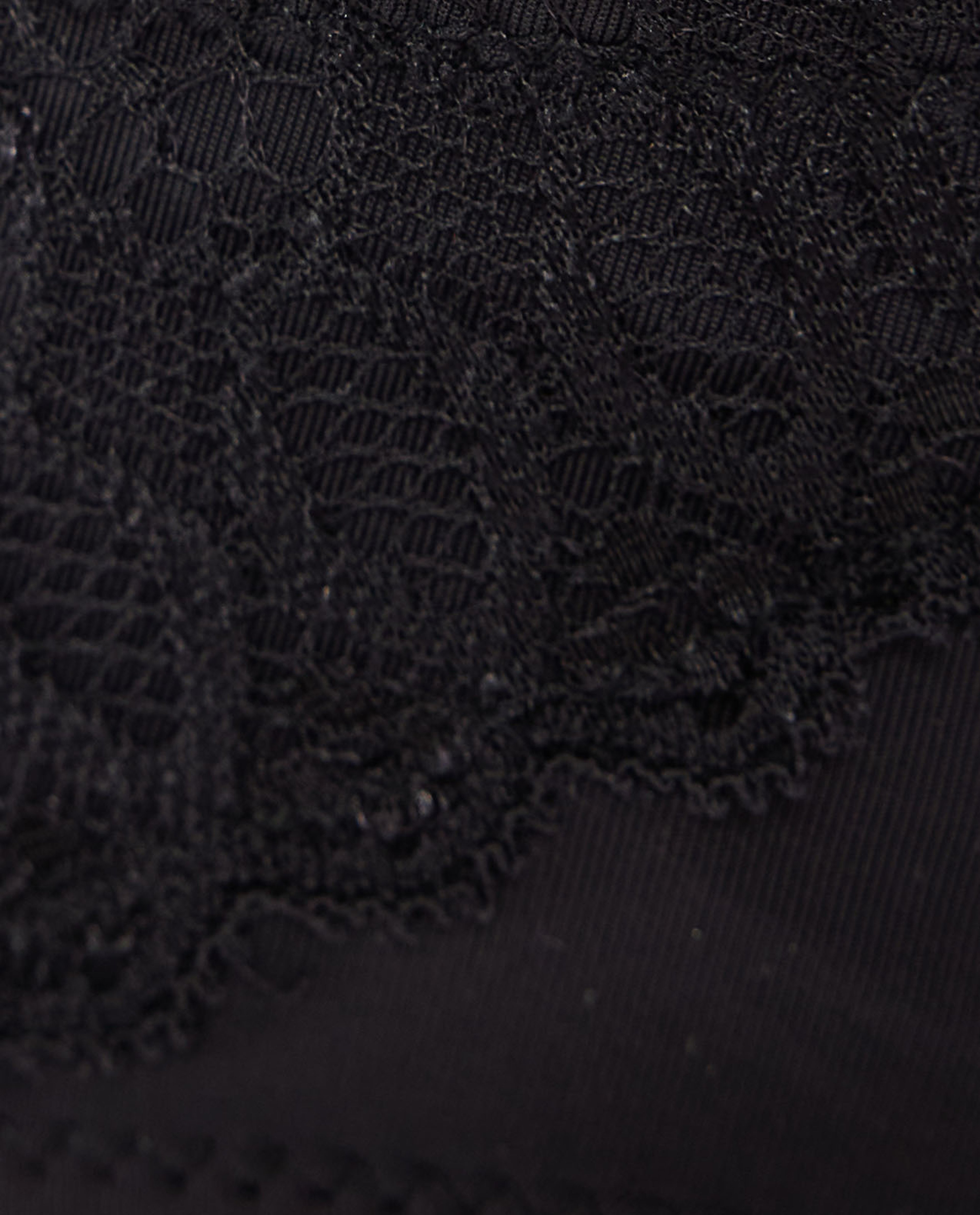 Lace Trim Bikini Brief