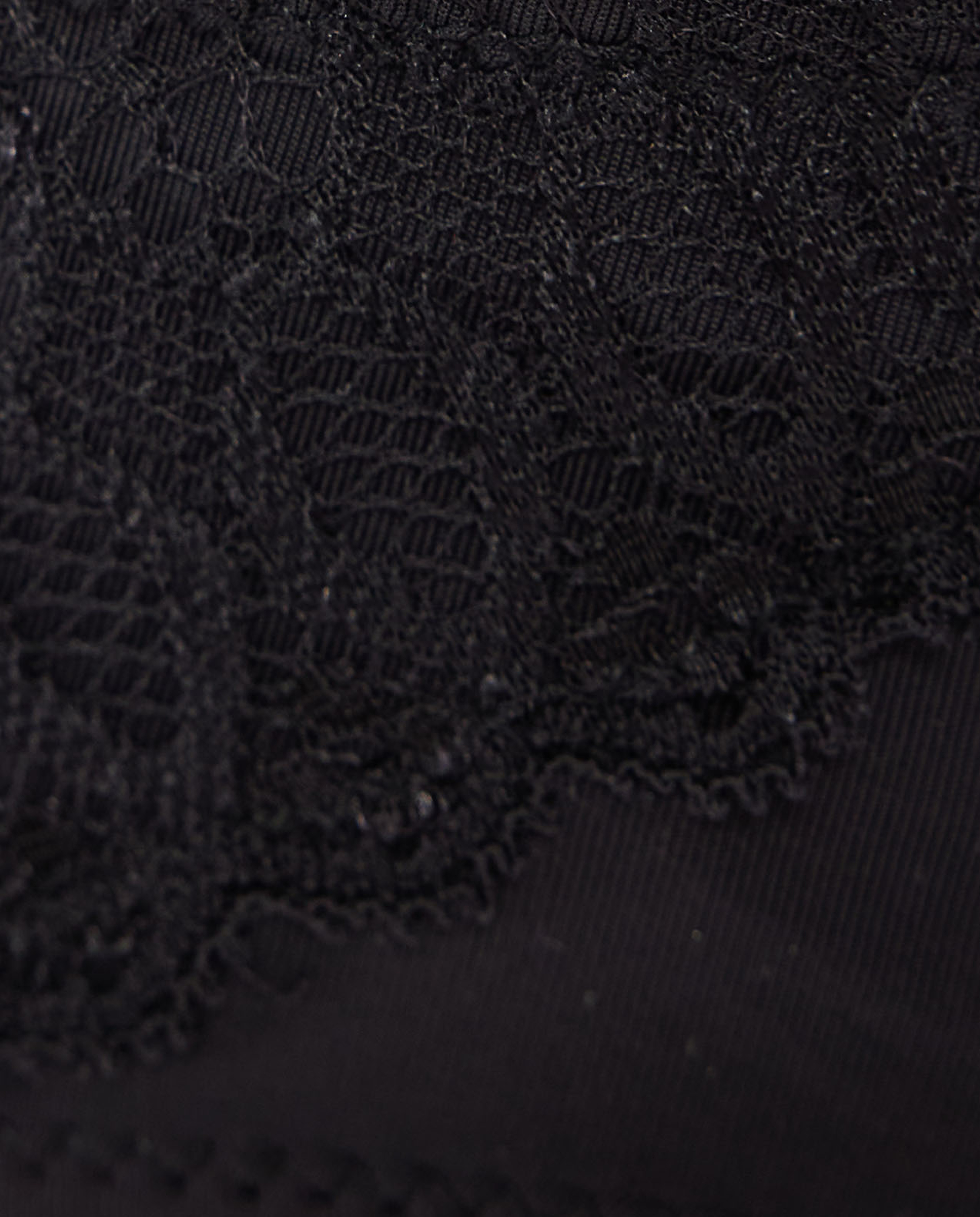 Lace Trim Bikini Brief