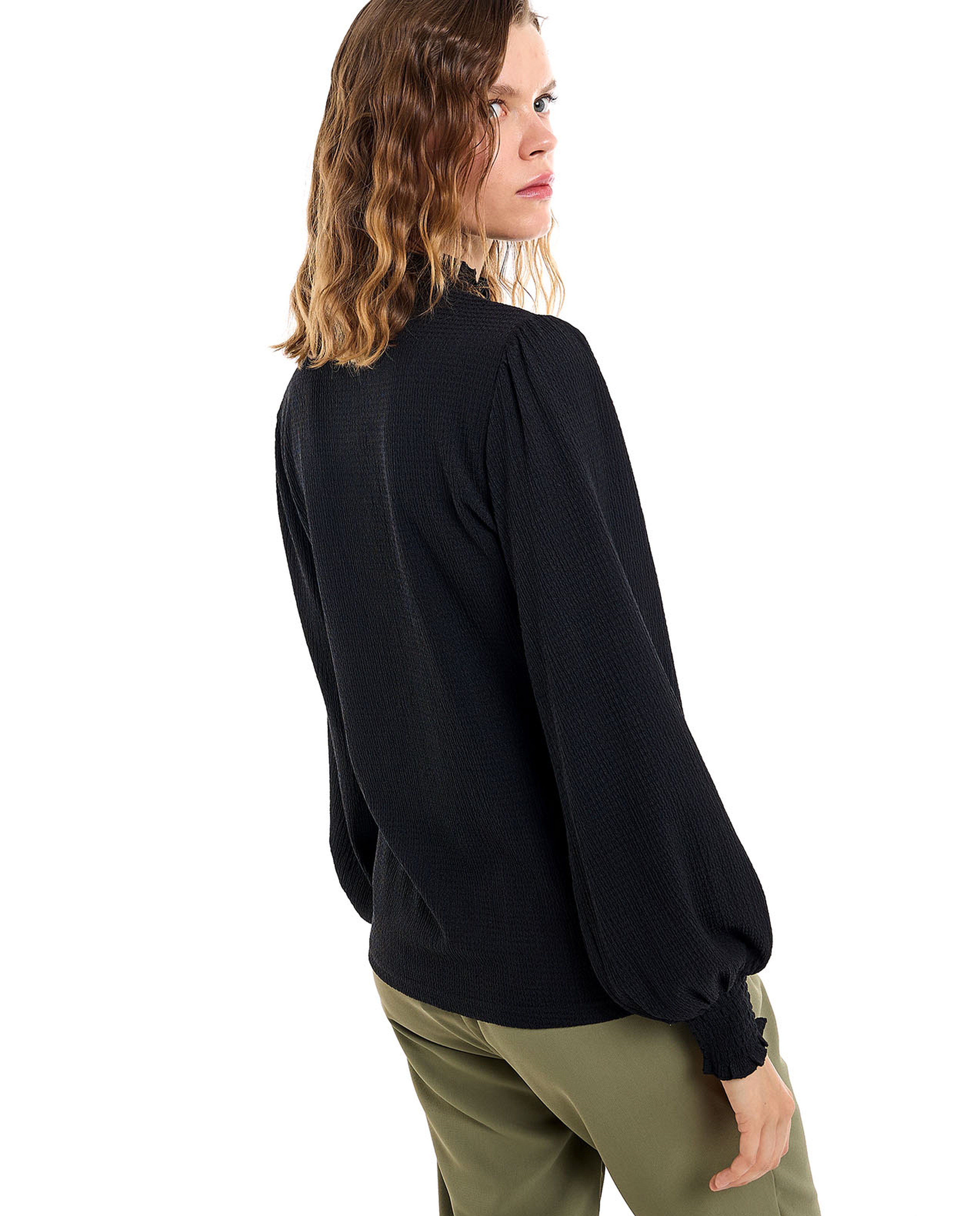 Solid Top with High Neck and Bishop Sleeves