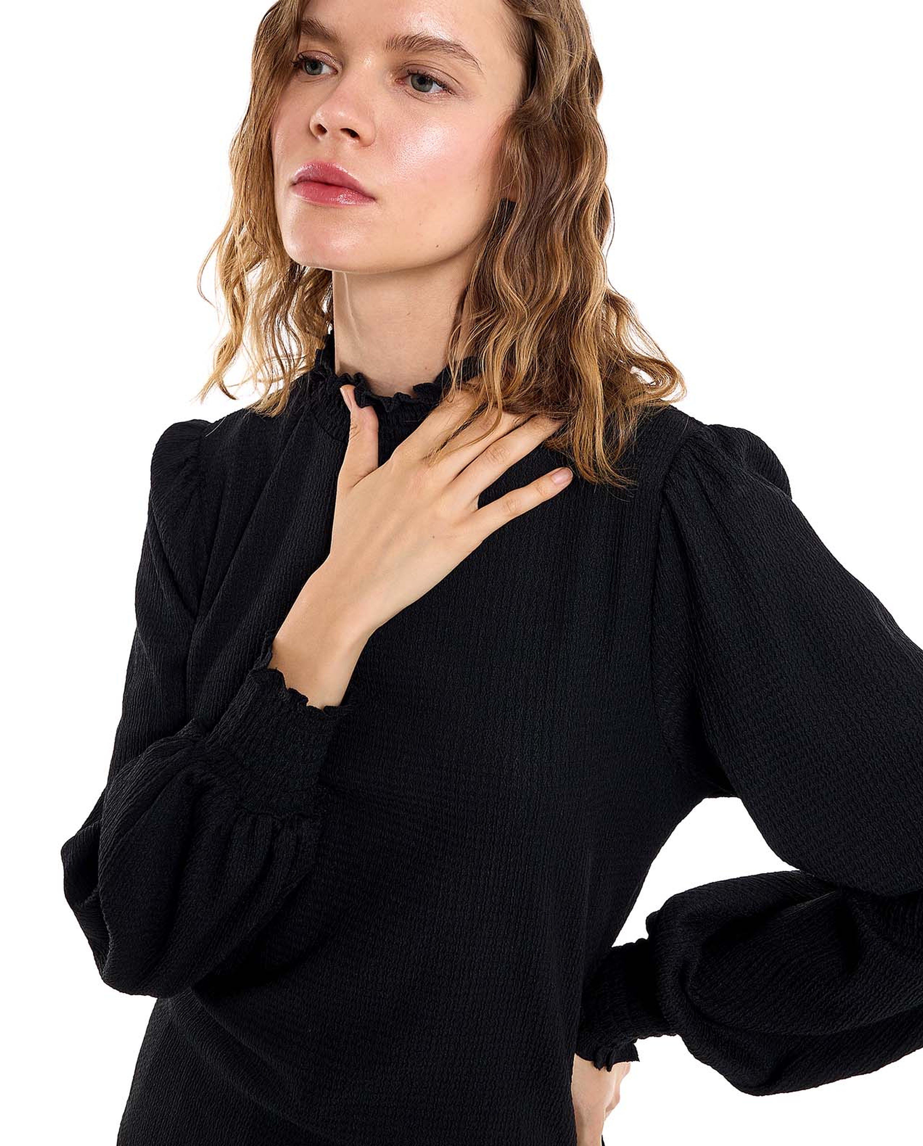 Solid Top with High Neck and Bishop Sleeves