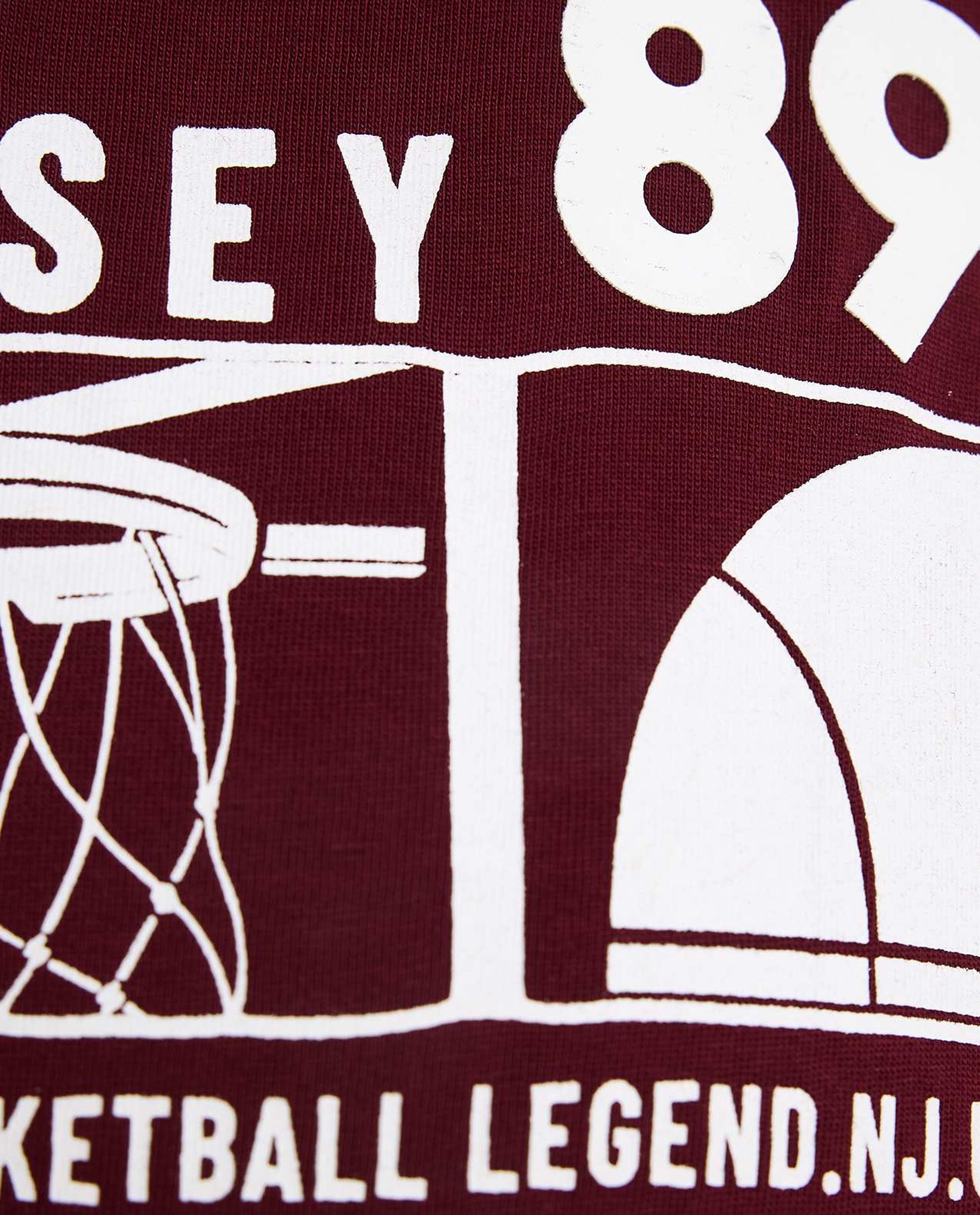 Graphic Print T-Shirt with Crew Neck and Short Sleeves