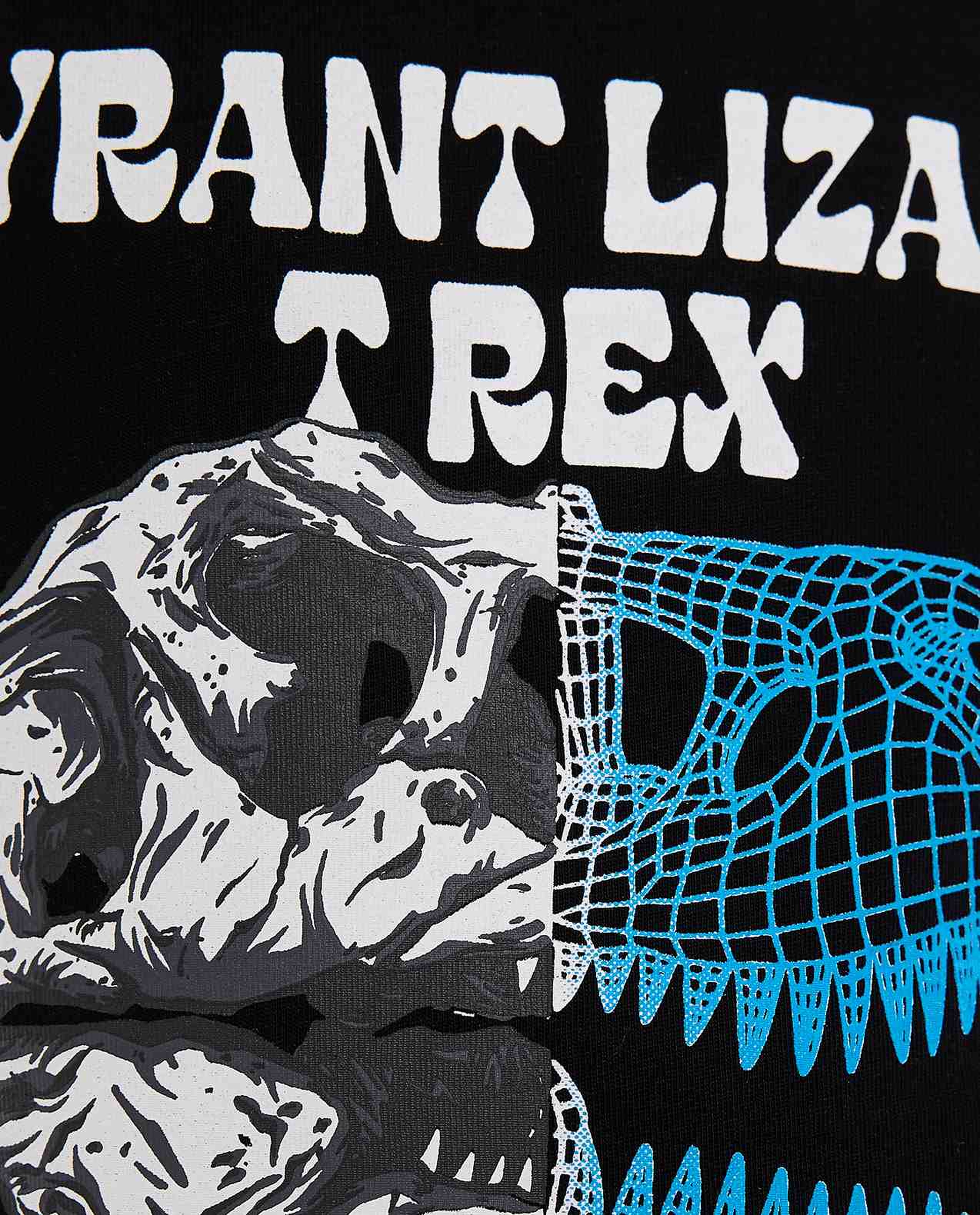 Graphic Print T-Shirt with Crew Neck and Short Sleeves