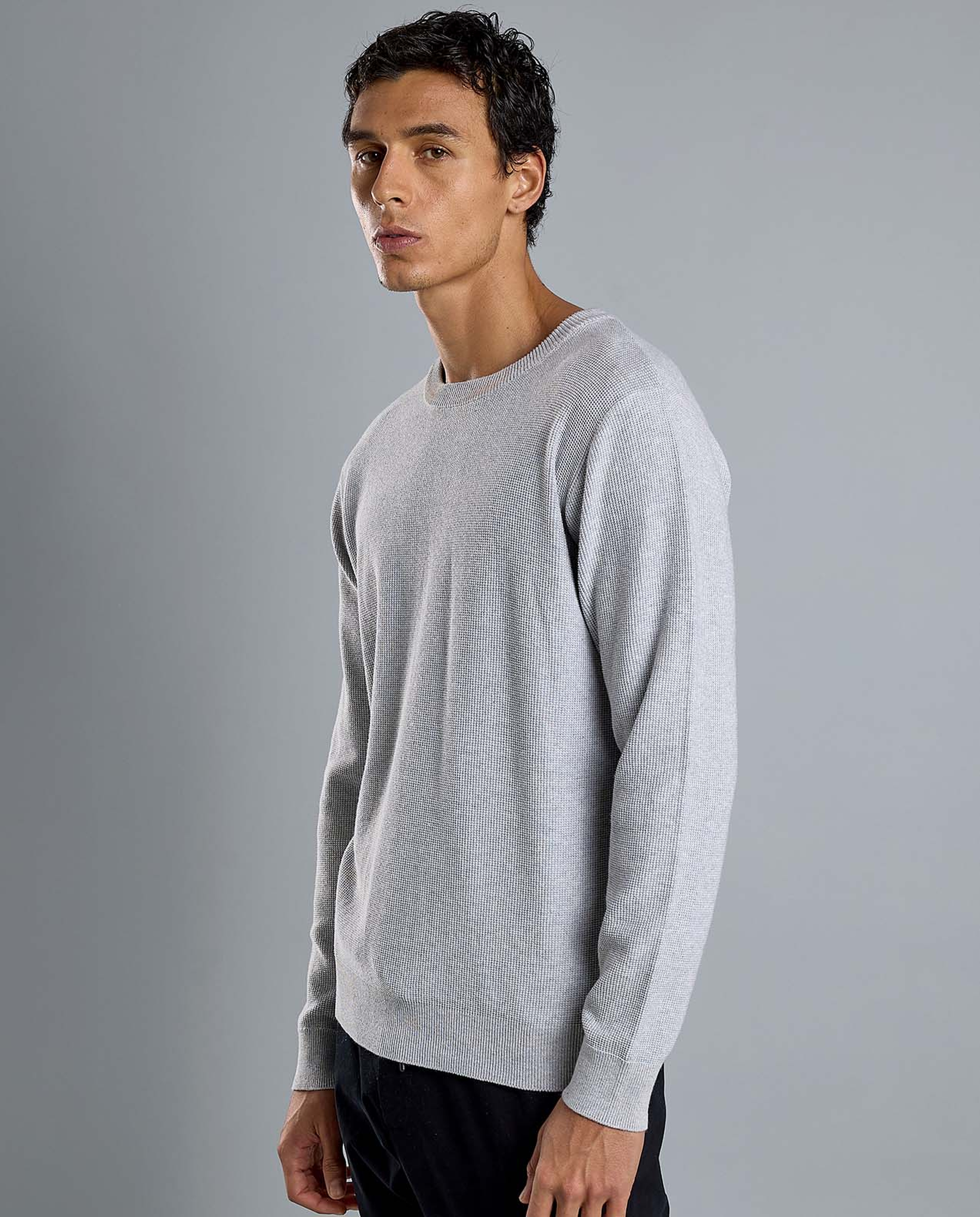 Textured Sweater with Crew Neck and Long Sleeves