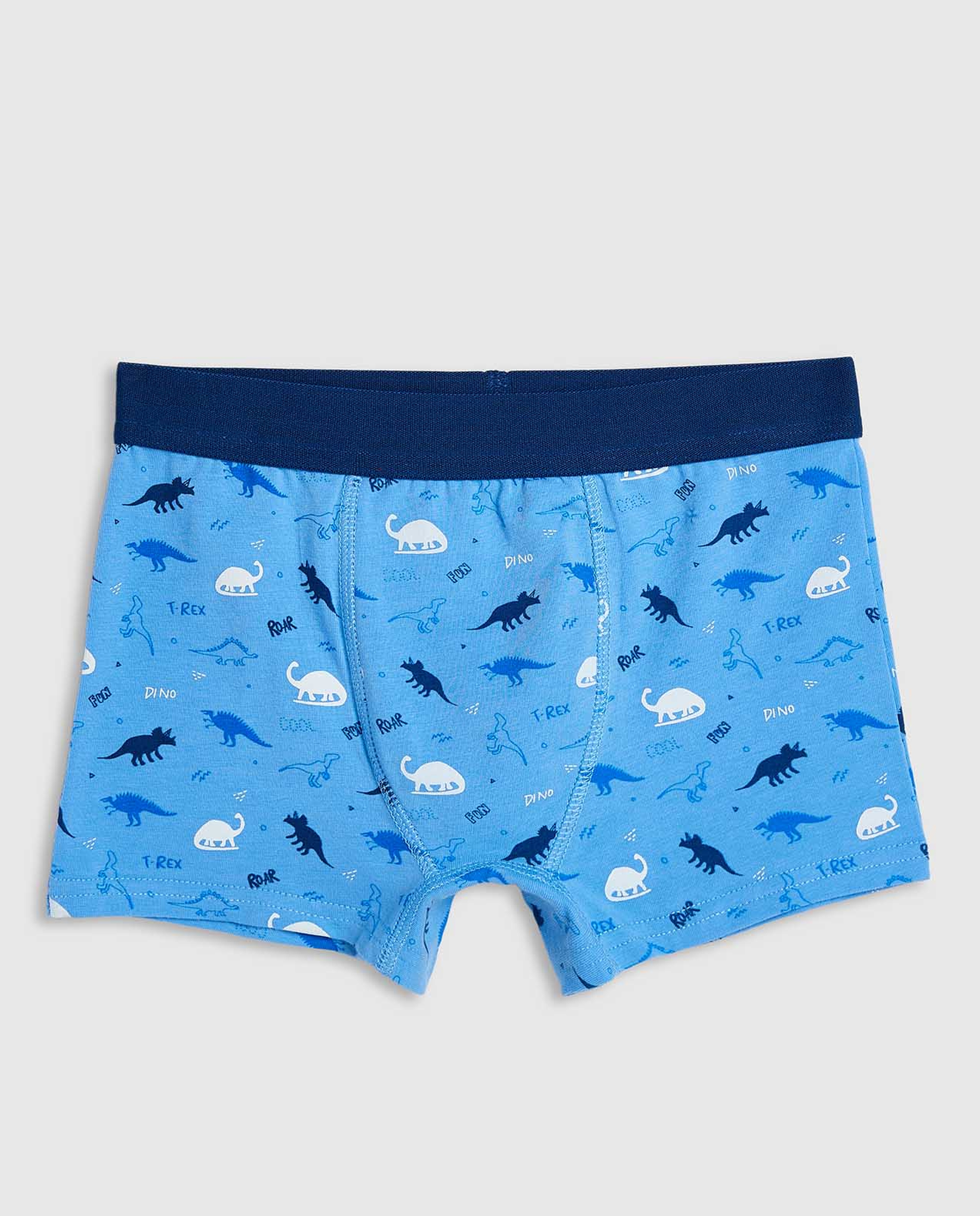 2 Pack Printed Boxer Briefs