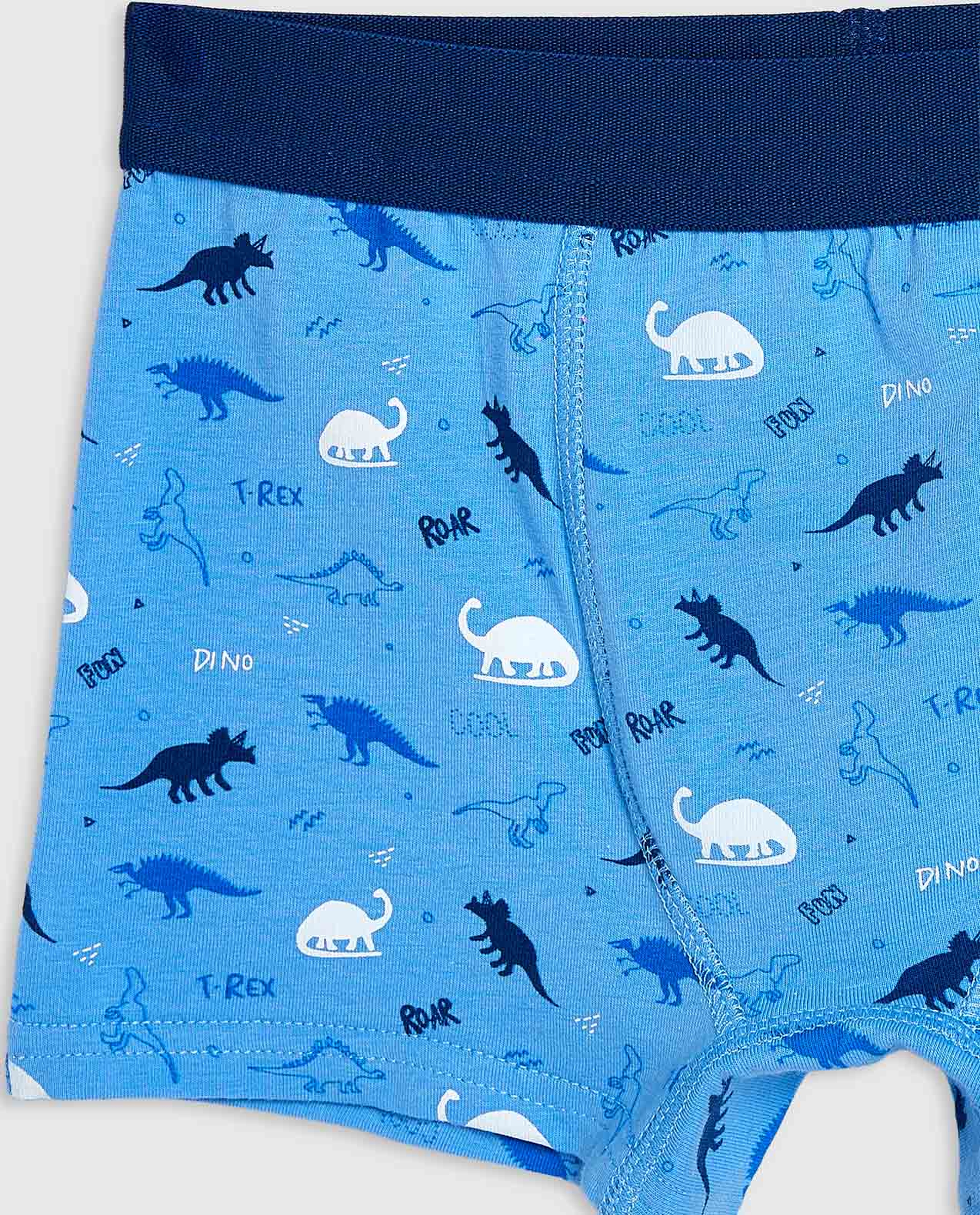 2 Pack Printed Boxer Briefs