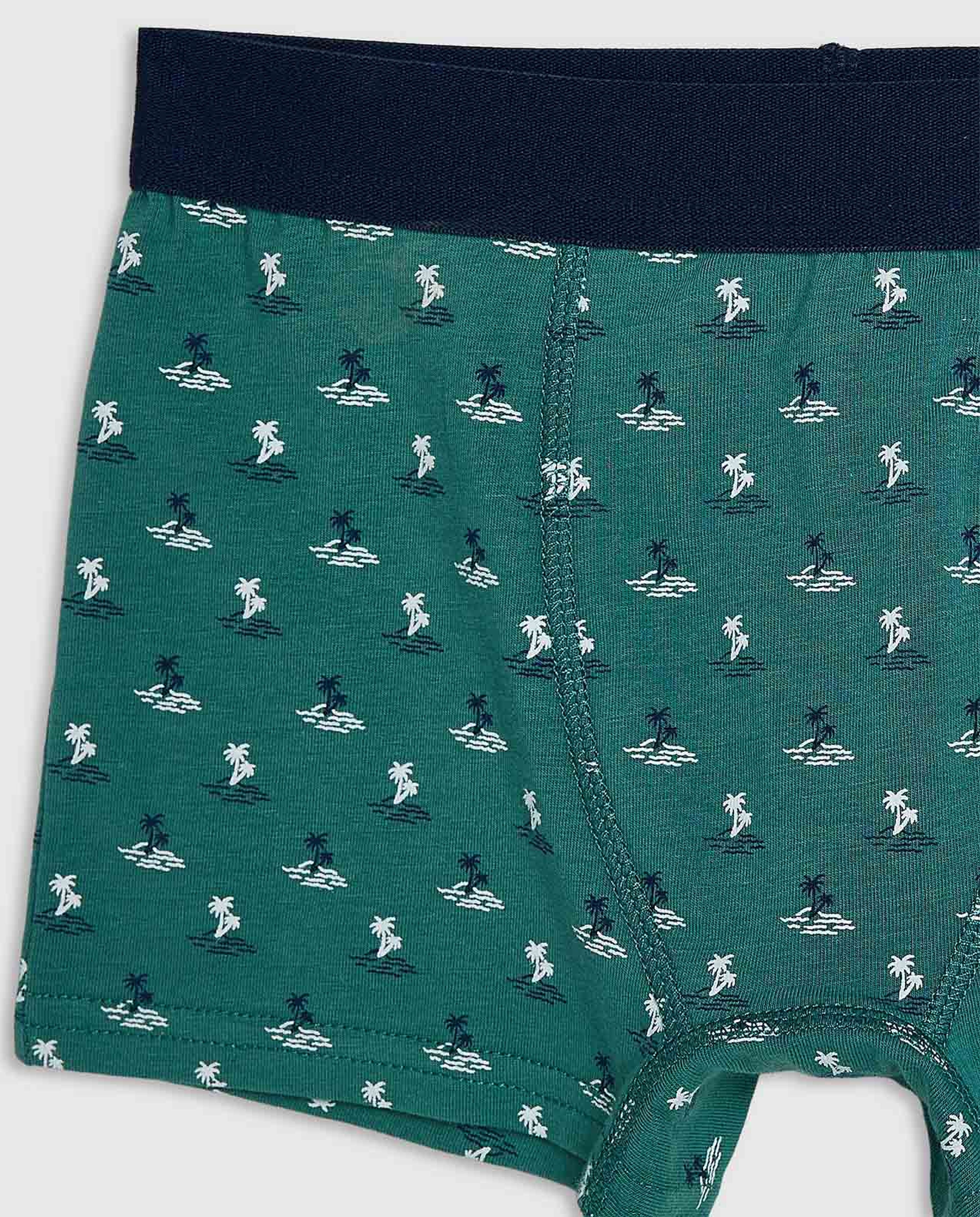 2 Pack Printed Boxer Briefs