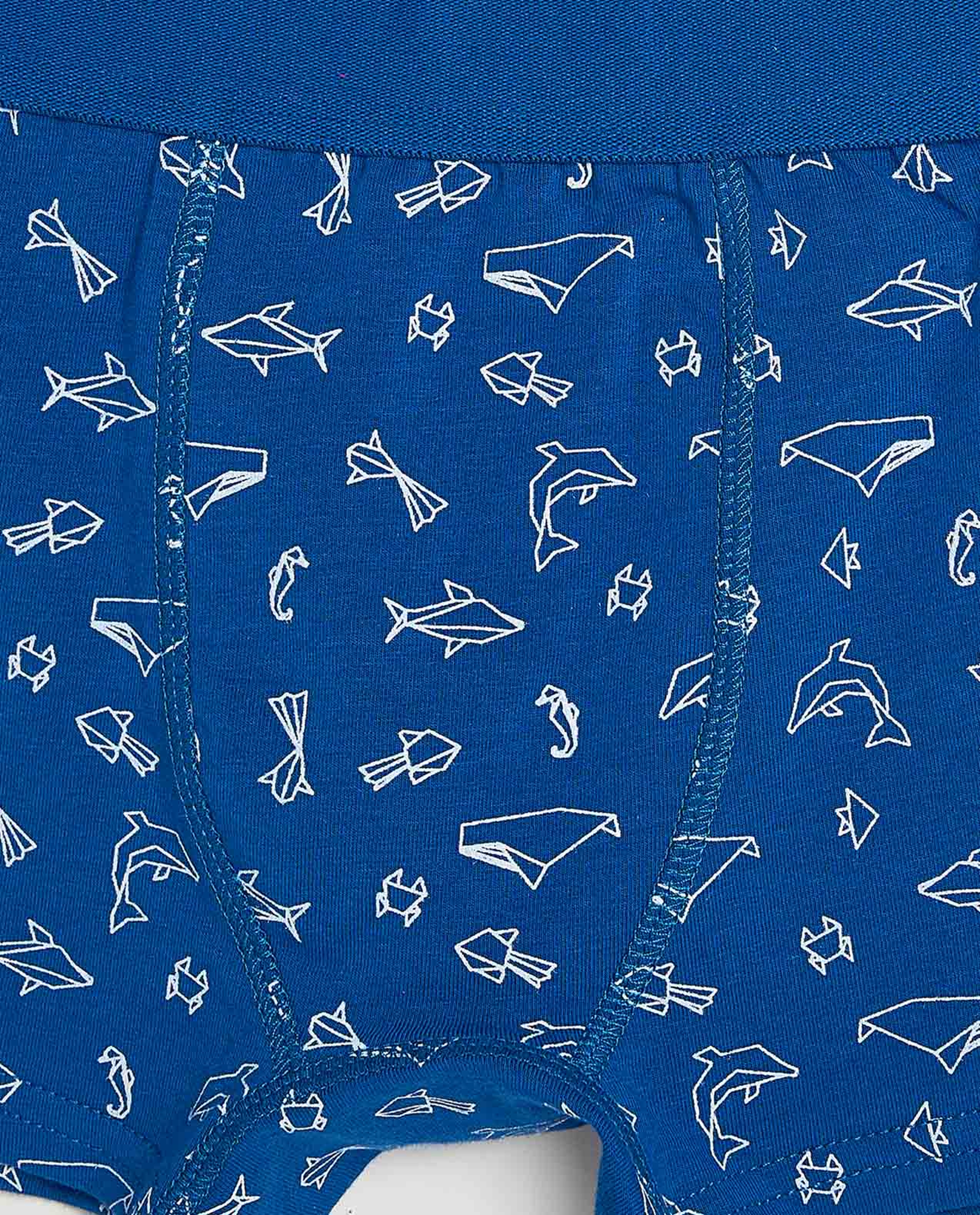 2 Pack Printed Boxer Briefs