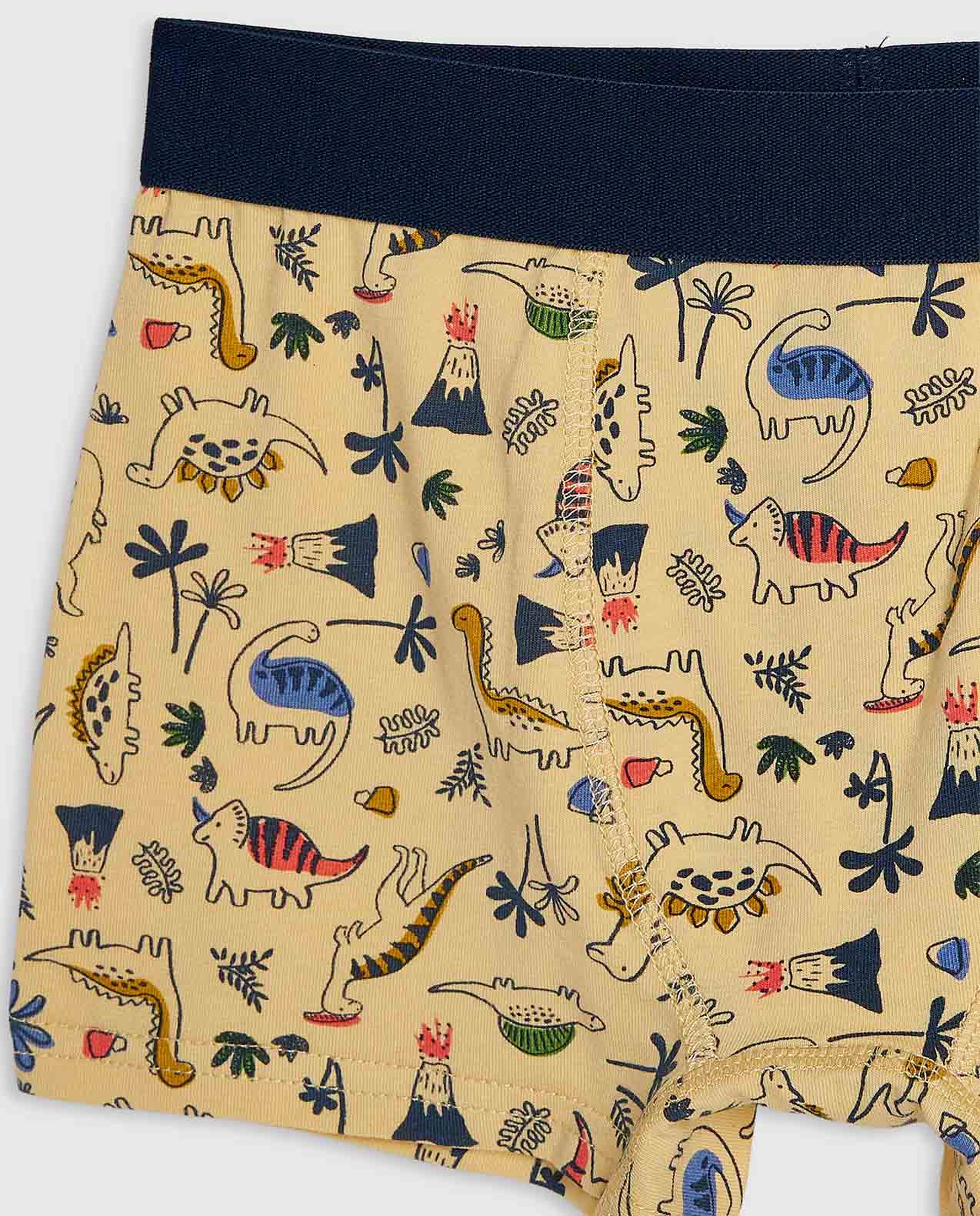 2 Pack Printed Boxer Briefs