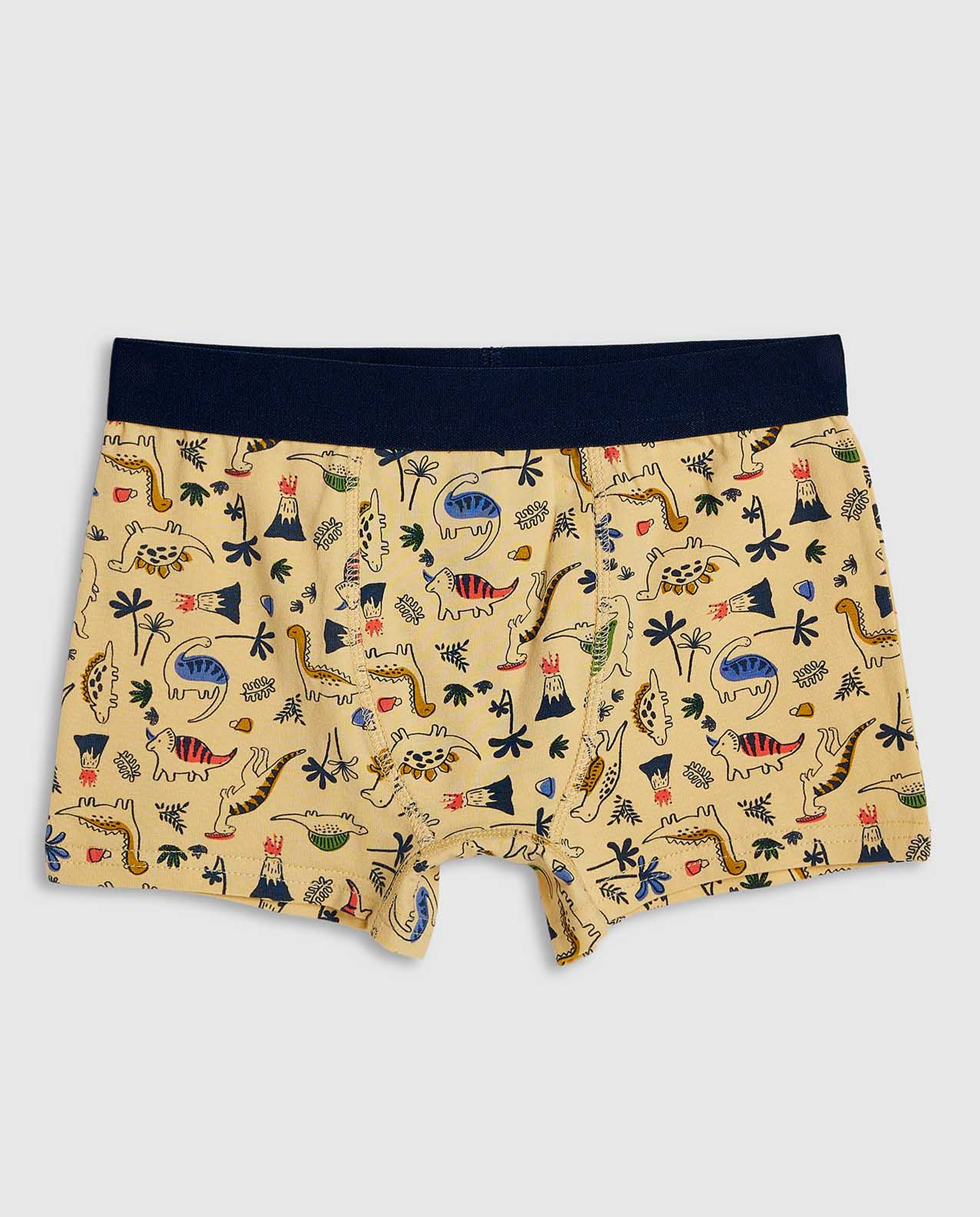 2 Pack Printed Boxer Briefs