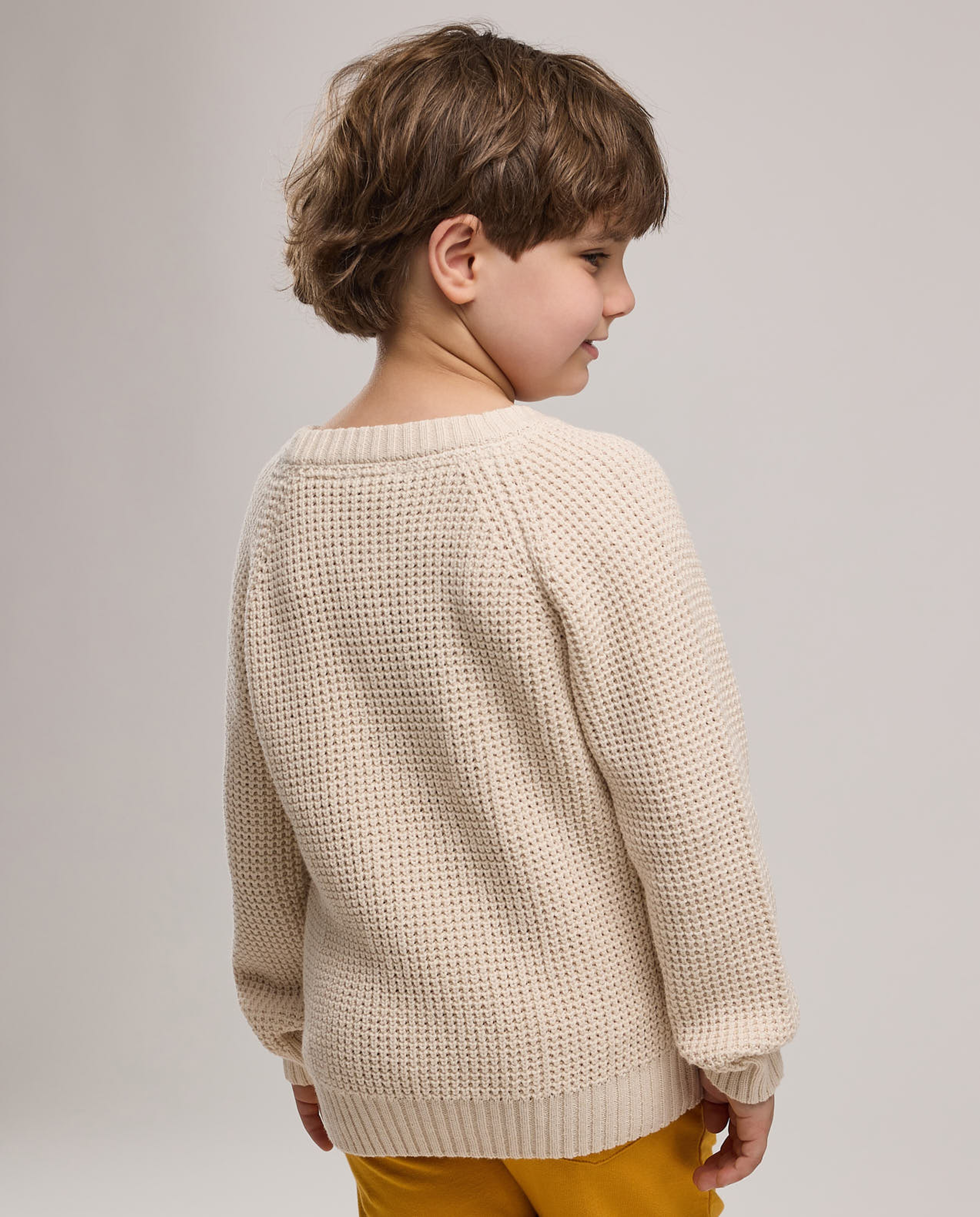 Textured Sweater with Crew Neck and Long Sleeves