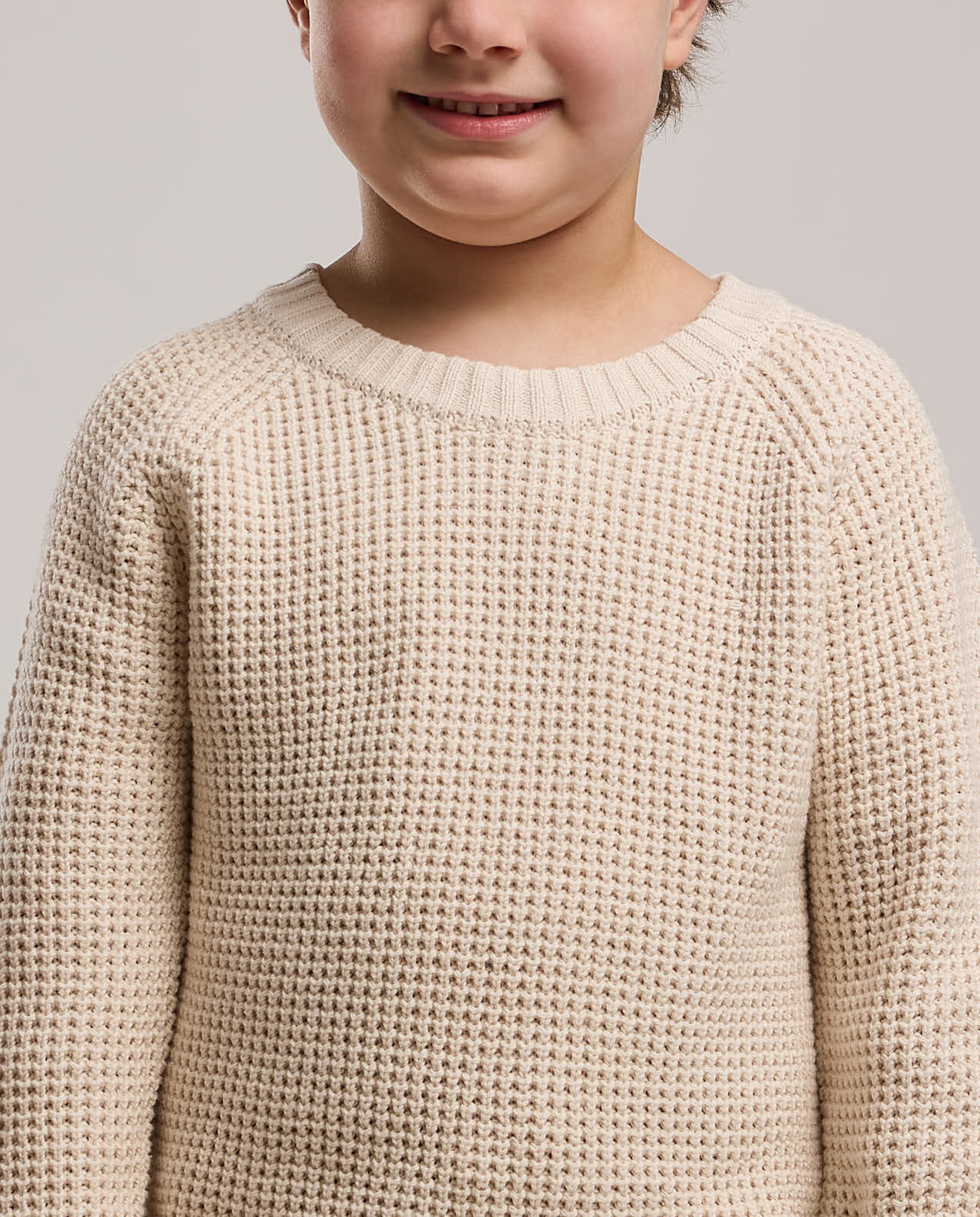 Textured Sweater with Crew Neck and Long Sleeves