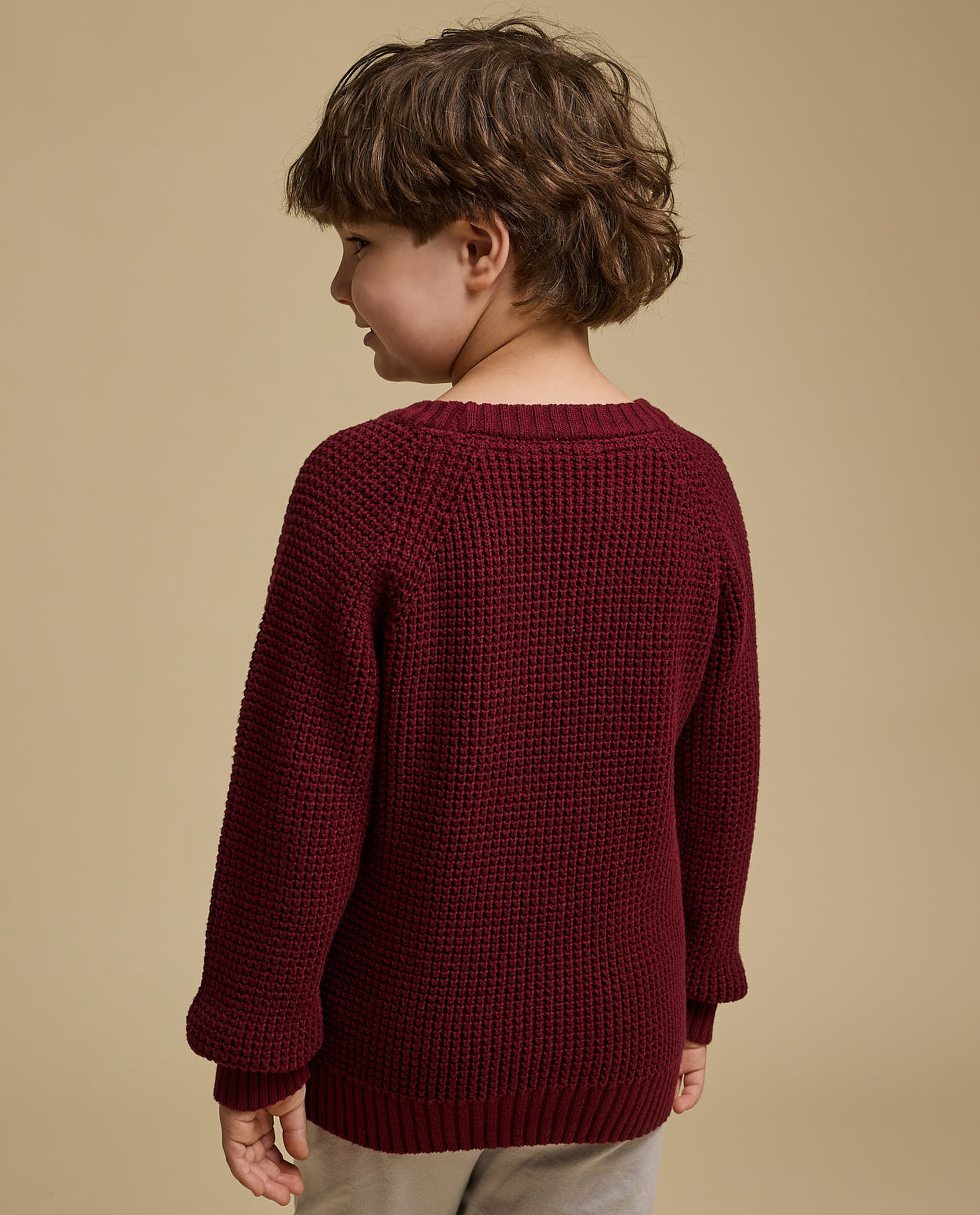 Textured Sweater with Crew Neck and Long Sleeves