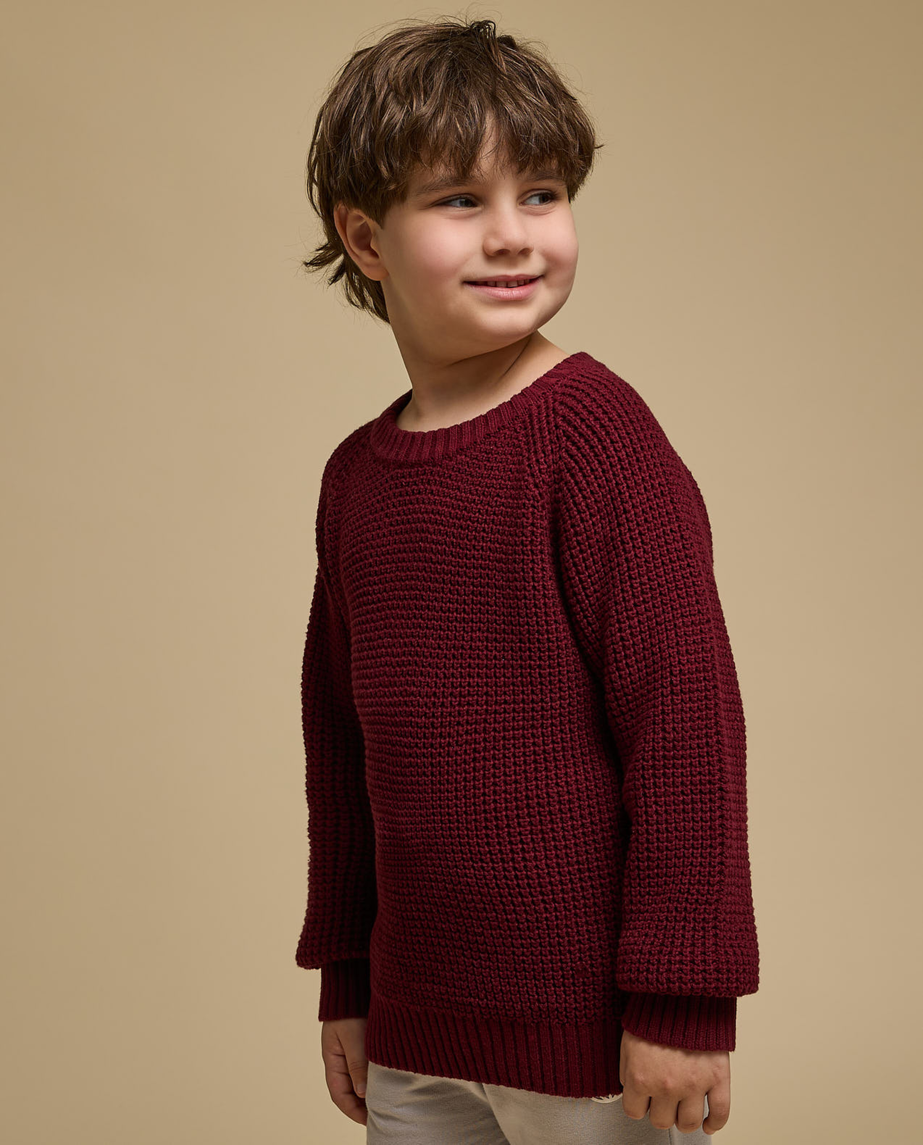 Textured Sweater with Crew Neck and Long Sleeves