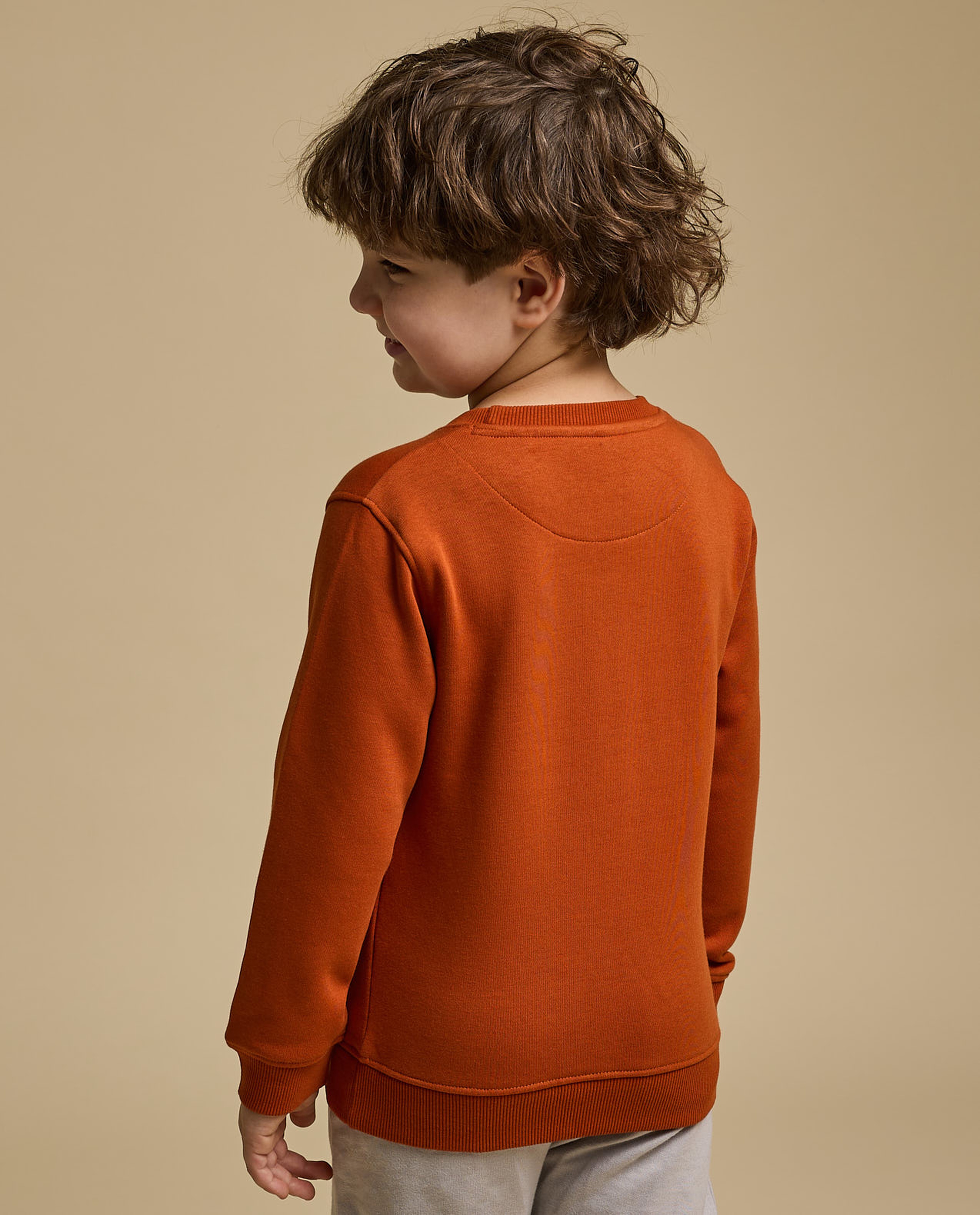 Printed Sweatshirt with Crew Neck and Long Sleeves