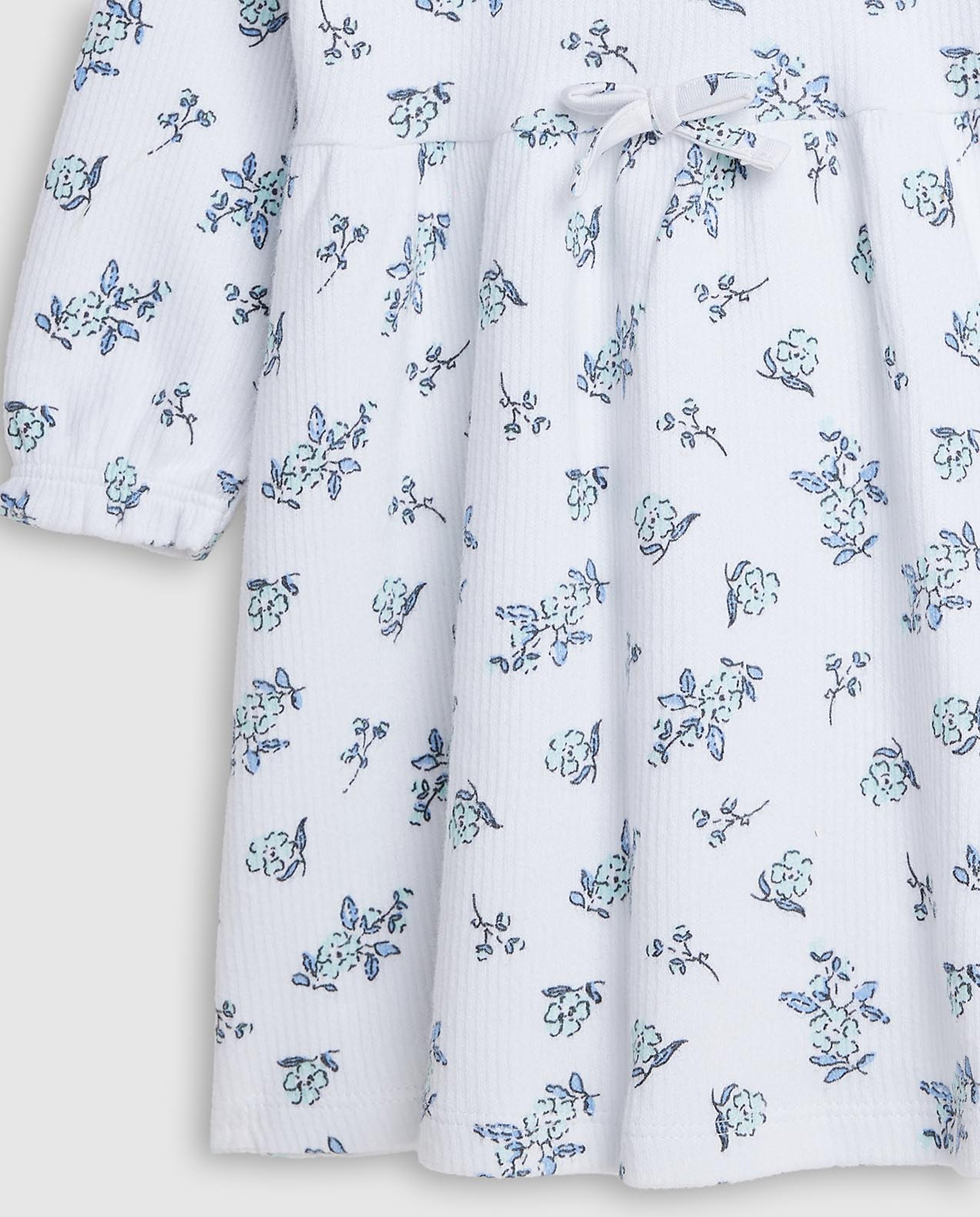 Printed Fit and Flare Dress with Long Sleeves