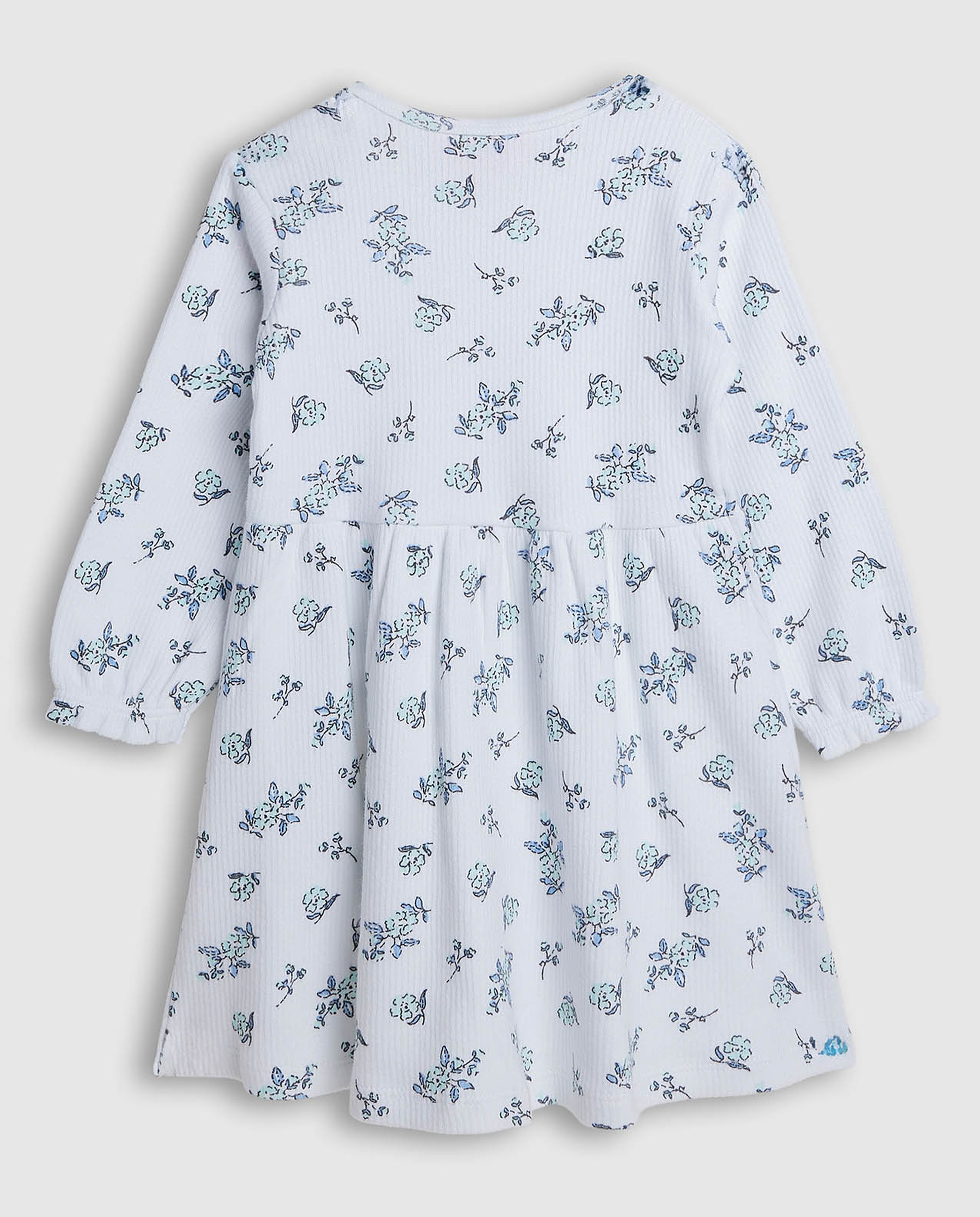 Printed Fit and Flare Dress with Long Sleeves