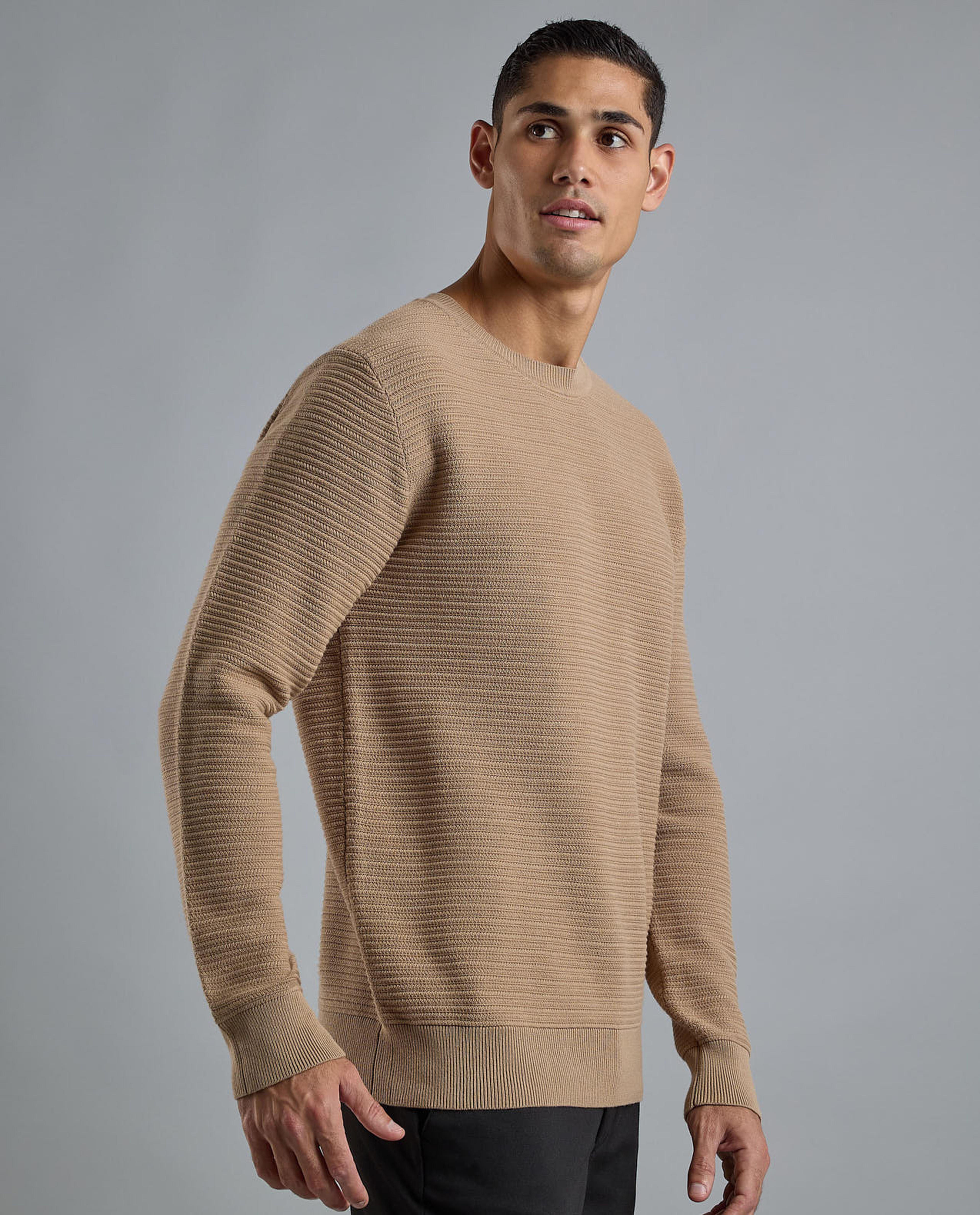 Textured Sweater with Crew Neck and Long Sleeves